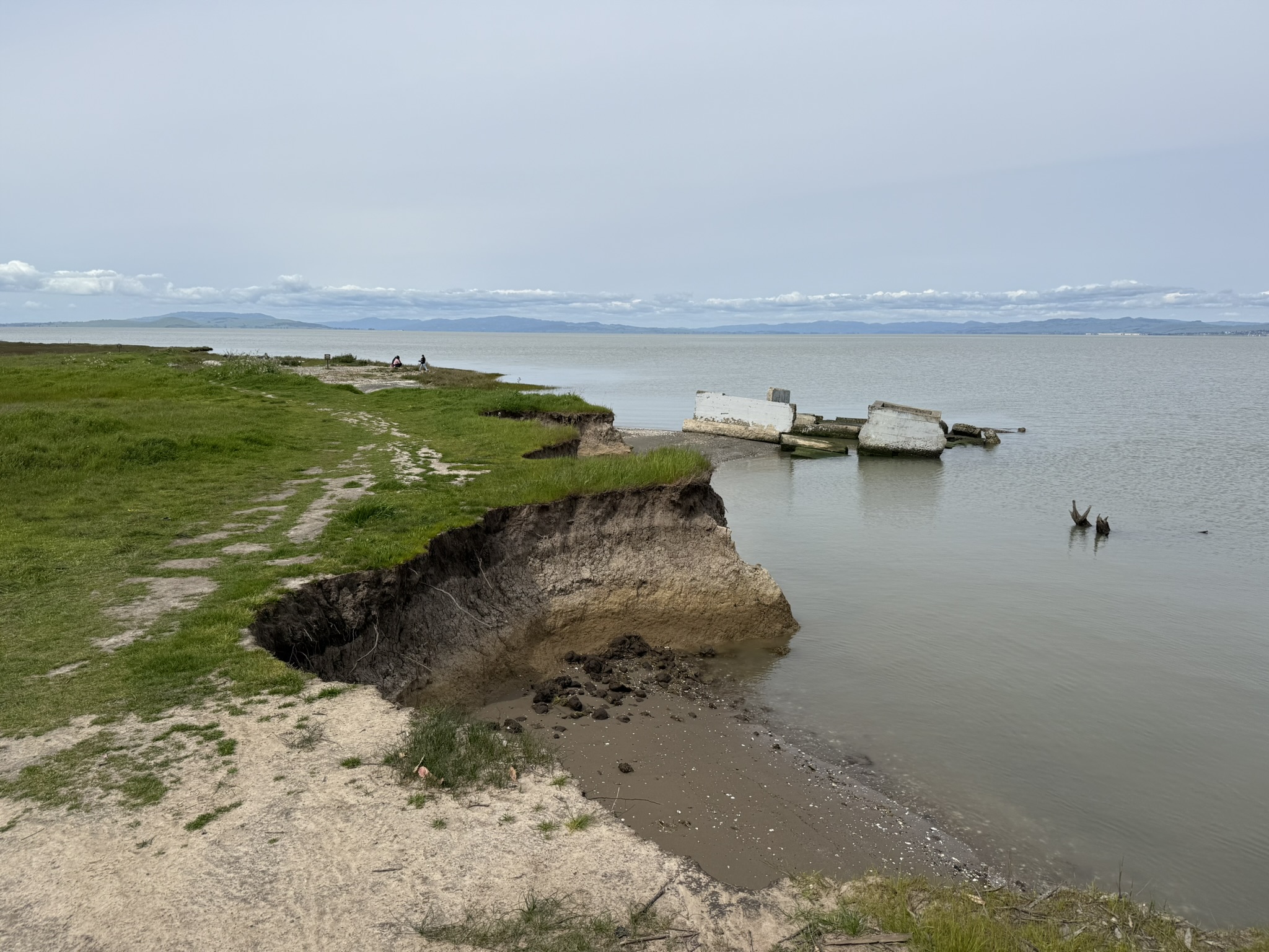 Point Pinole Regional Shoreline