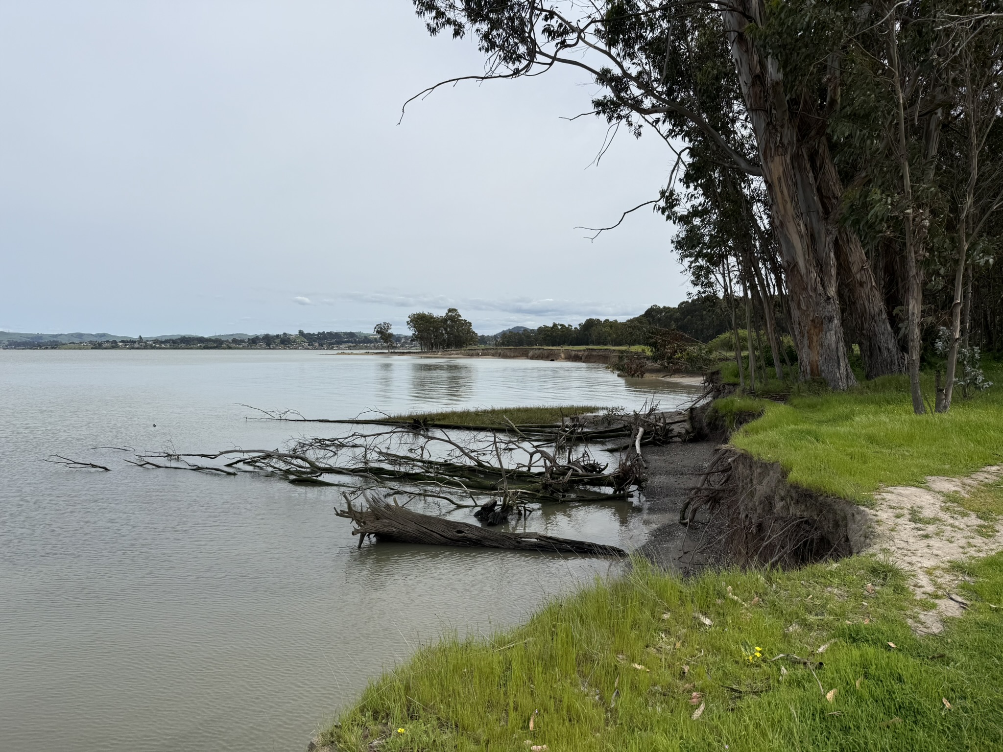 Point Pinole Regional Shoreline