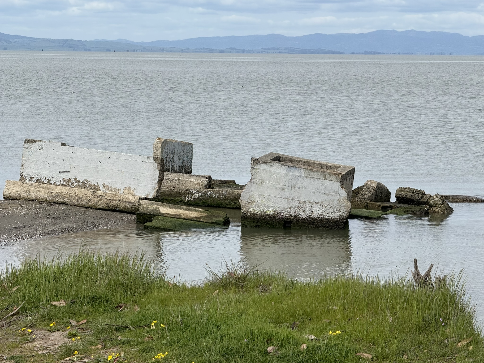 Point Pinole Regional Shoreline
