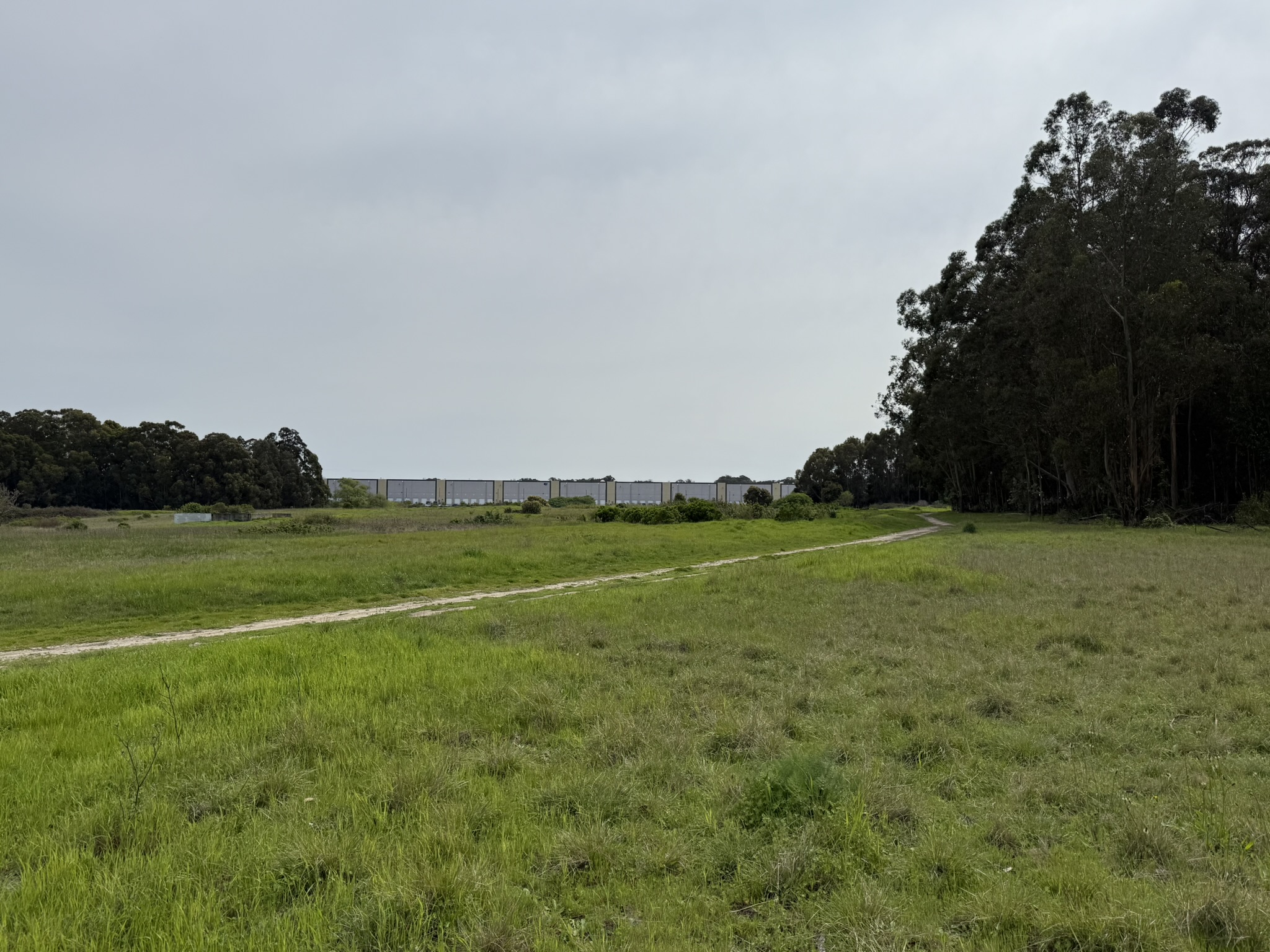 Point Pinole Regional Shoreline