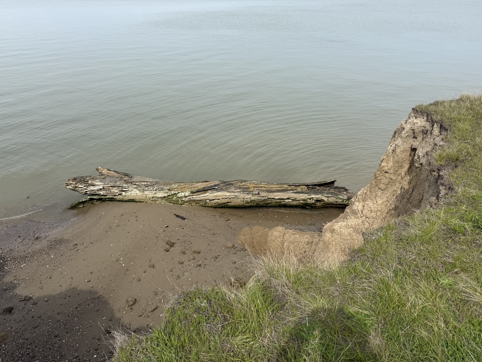 Point Pinole Regional Shoreline