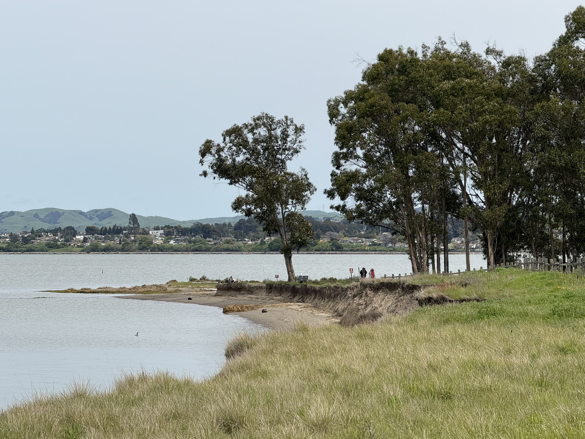 Point Pinole Regional Shoreline