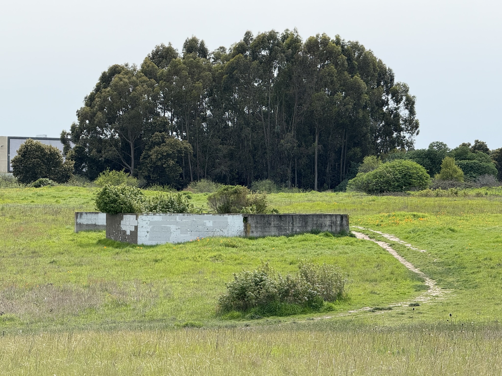 Point Pinole Regional Shoreline