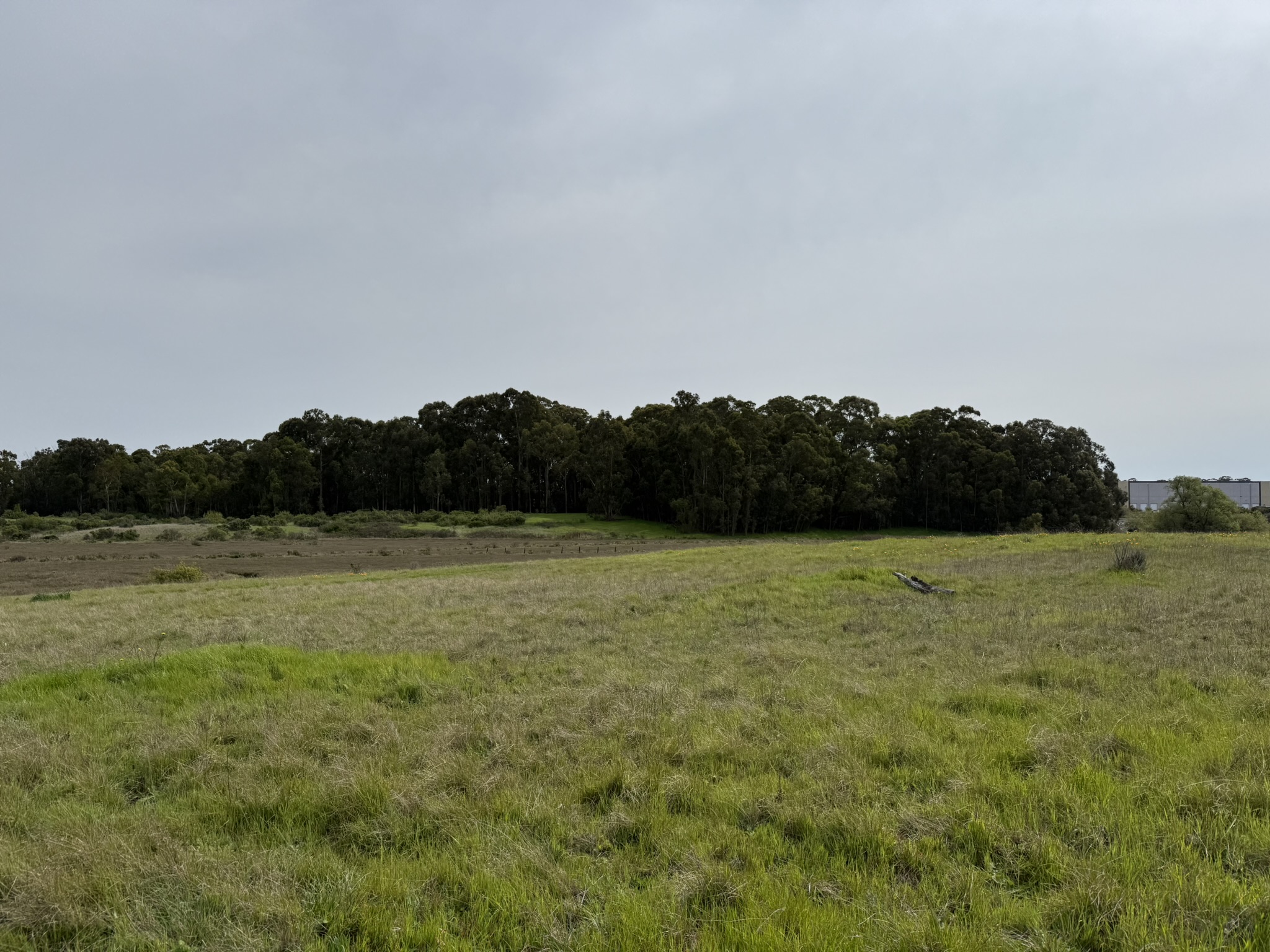 Point Pinole Regional Shoreline