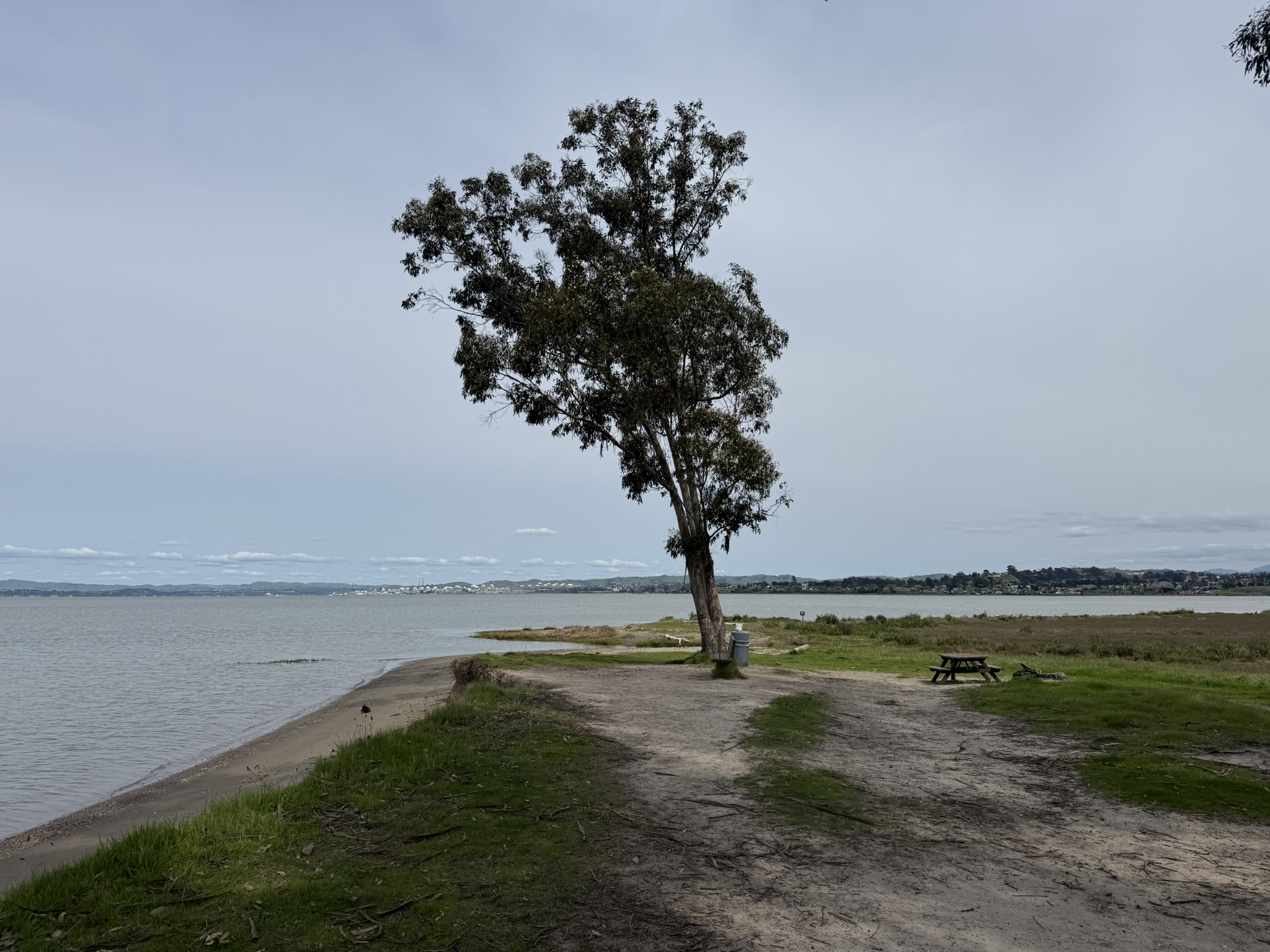 Point Pinole Regional Shoreline
