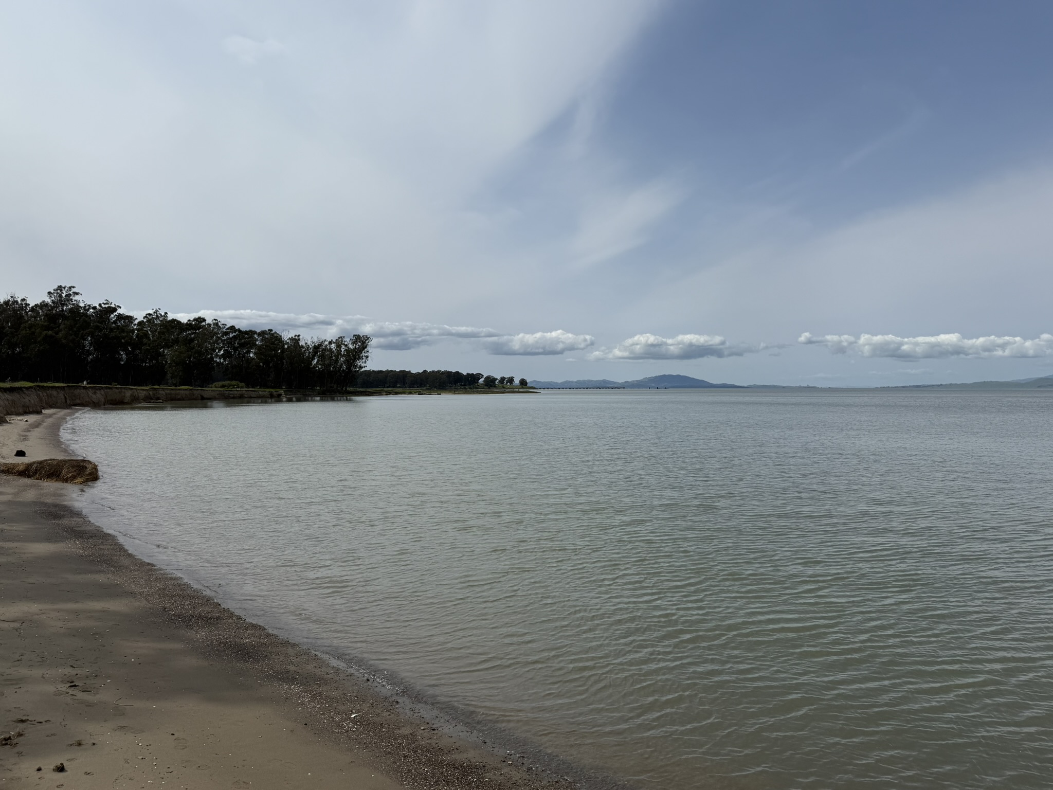 Point Pinole Regional Shoreline