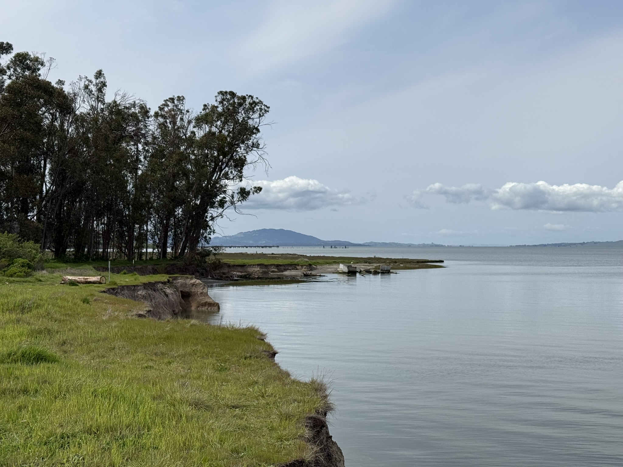 Point Pinole Regional Shoreline