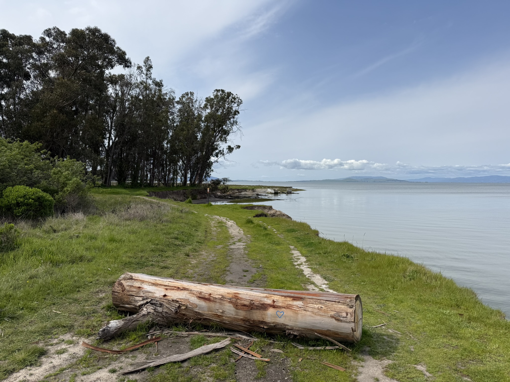 Point Pinole Regional Shoreline