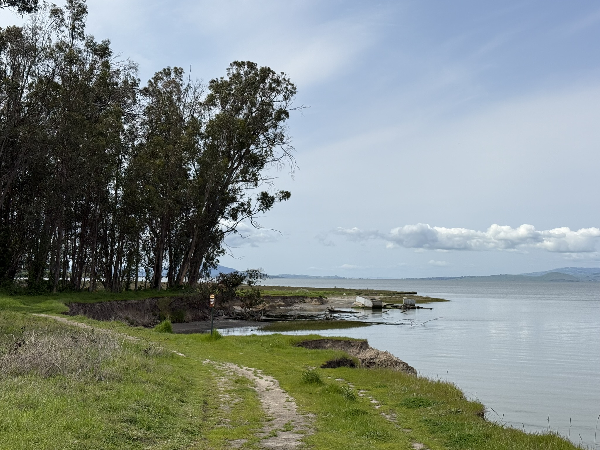 Point Pinole Regional Shoreline