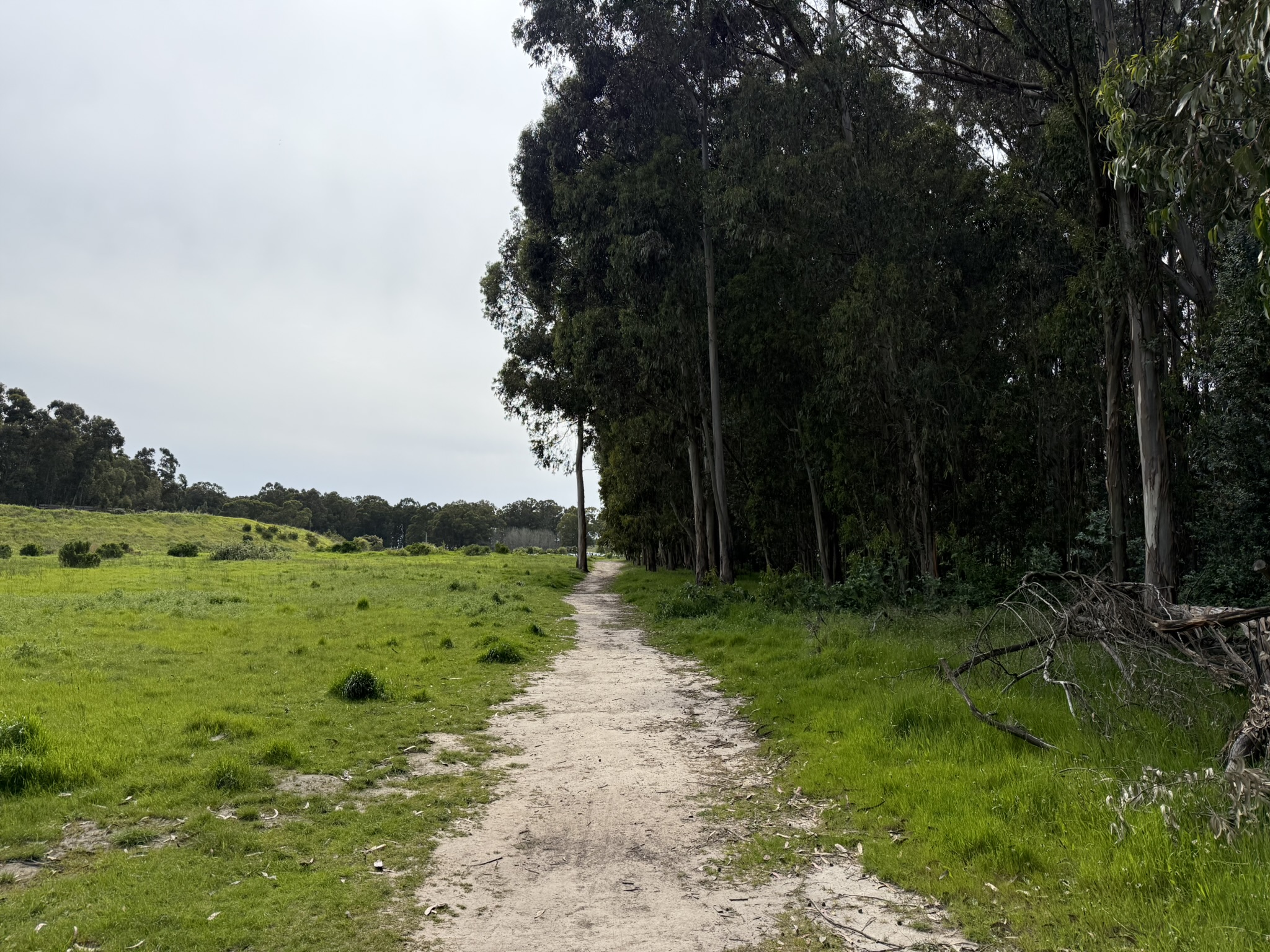 Point Pinole Regional Shoreline