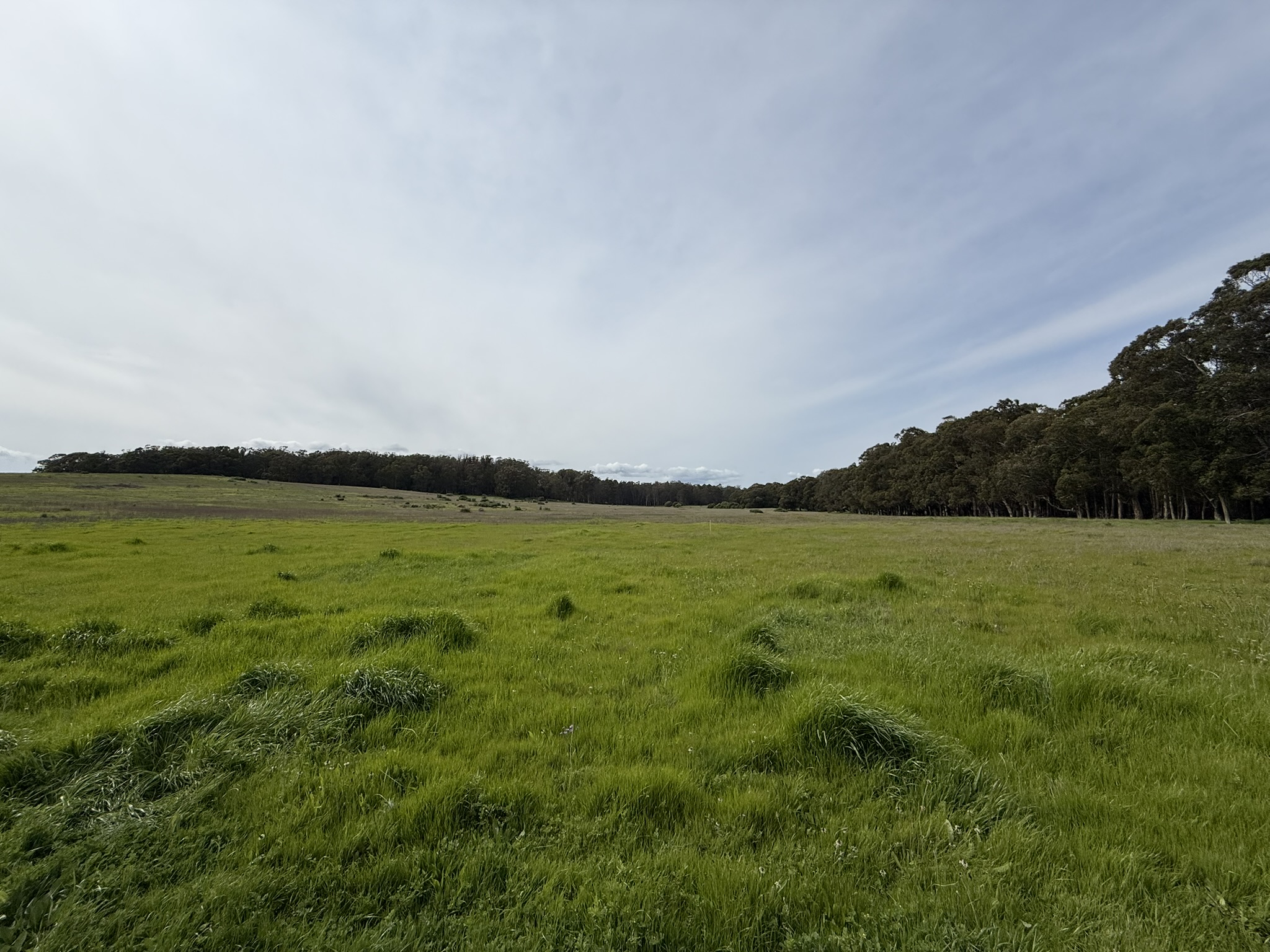Point Pinole Regional Shoreline