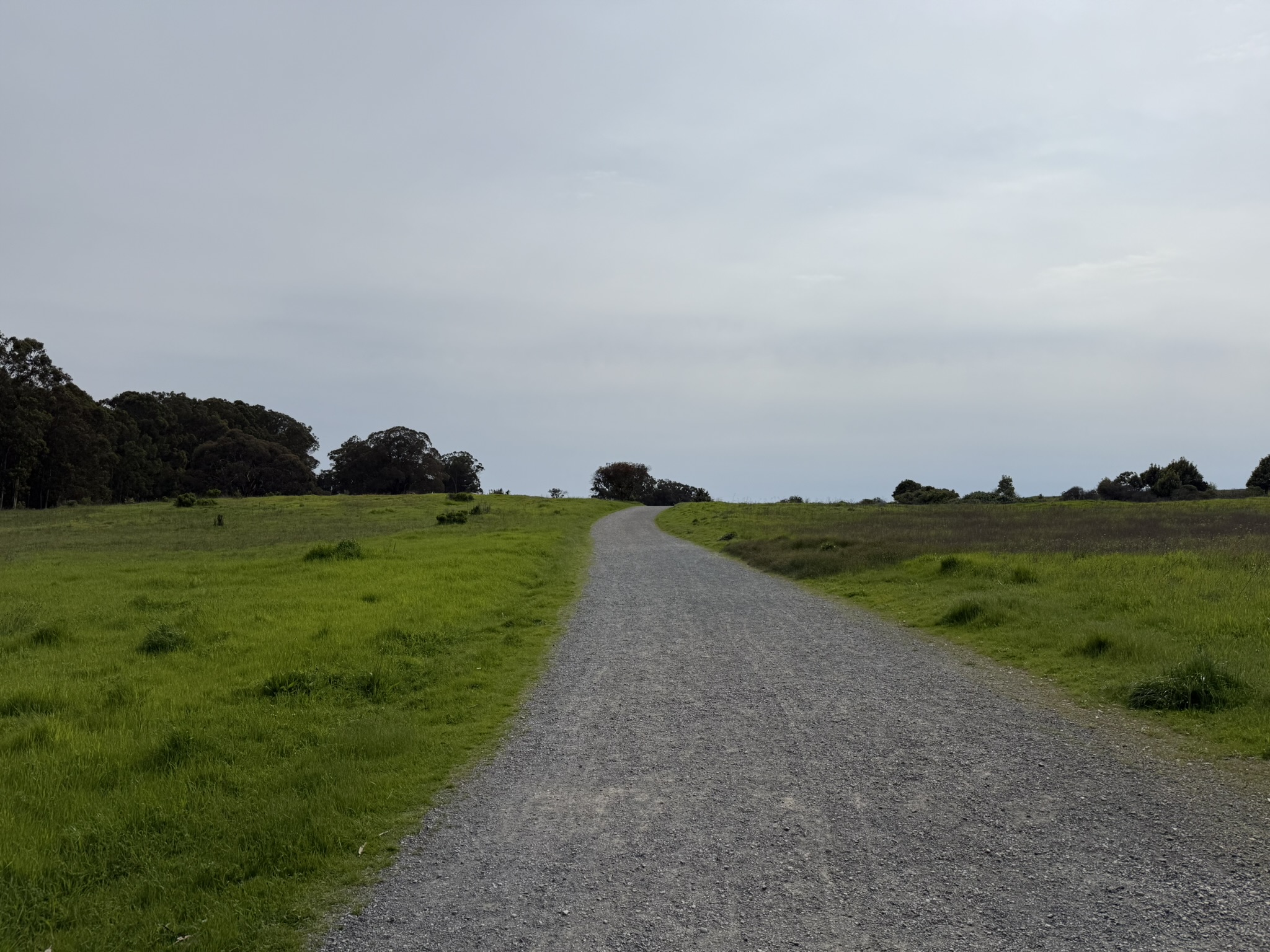 Point Pinole Regional Shoreline