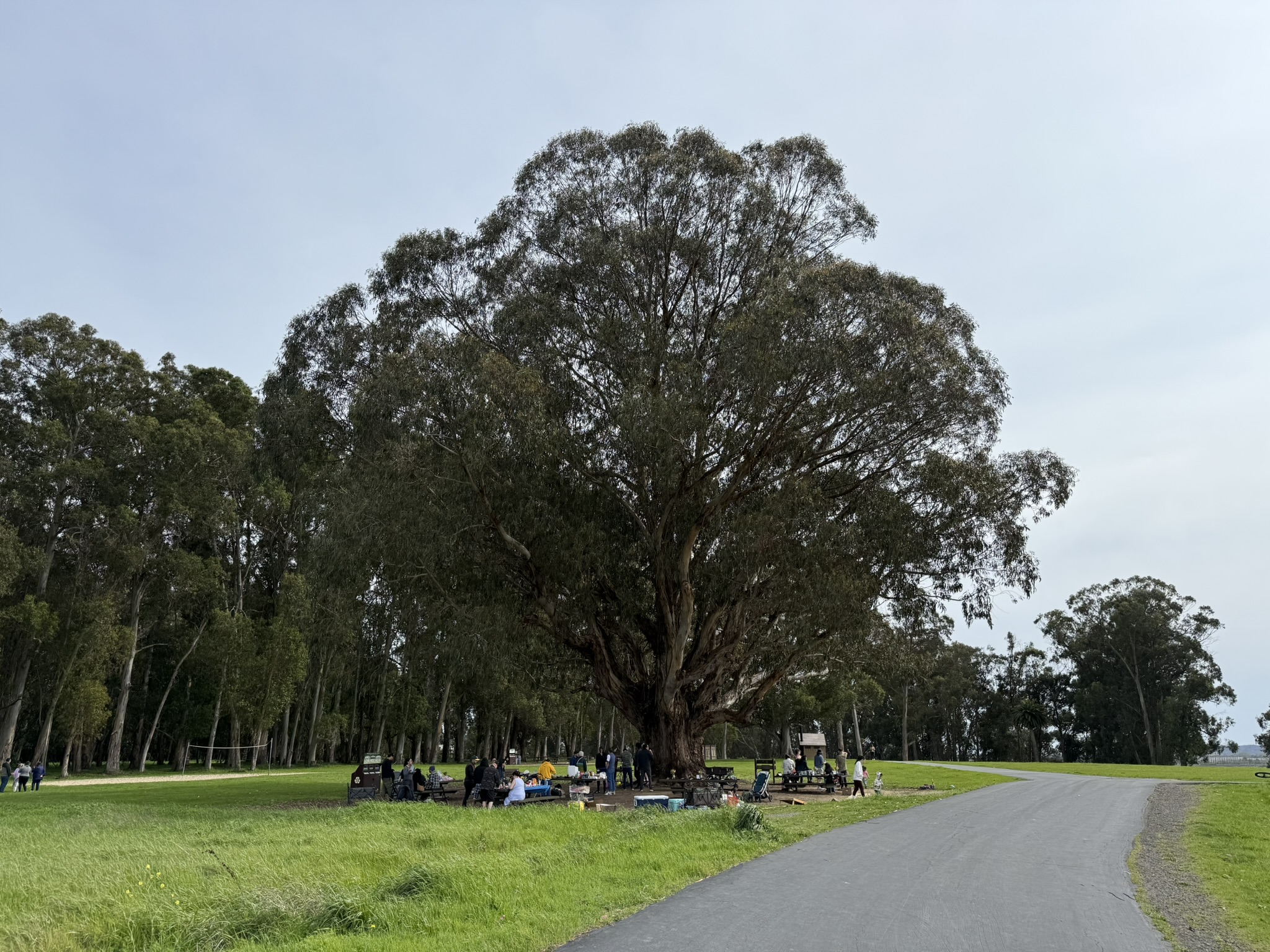 Point Pinole Regional Shoreline