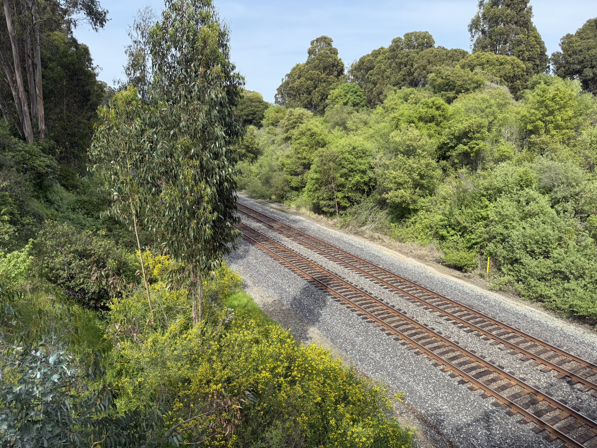 Point Pinole Regional Shoreline