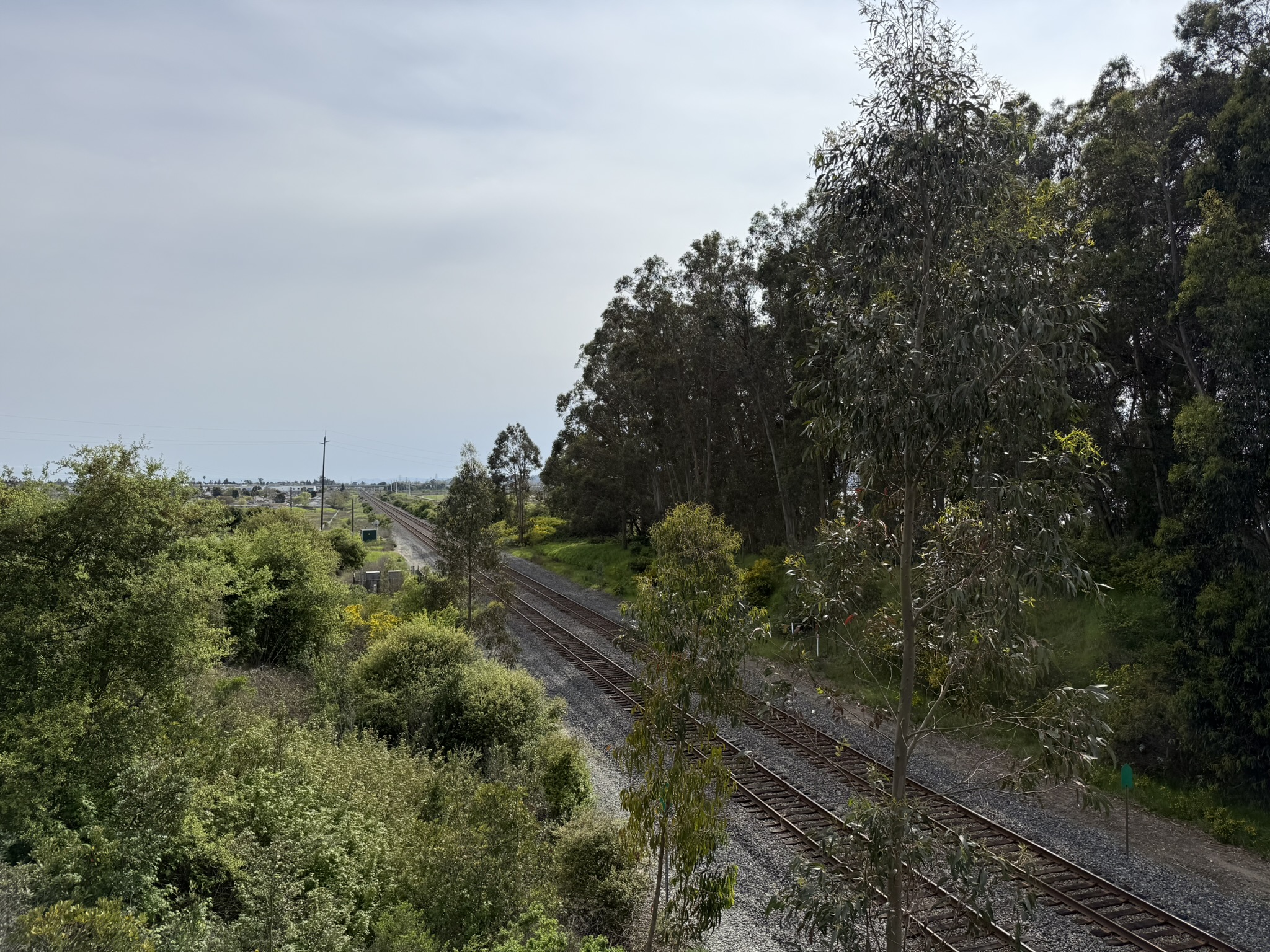 Point Pinole Regional Shoreline