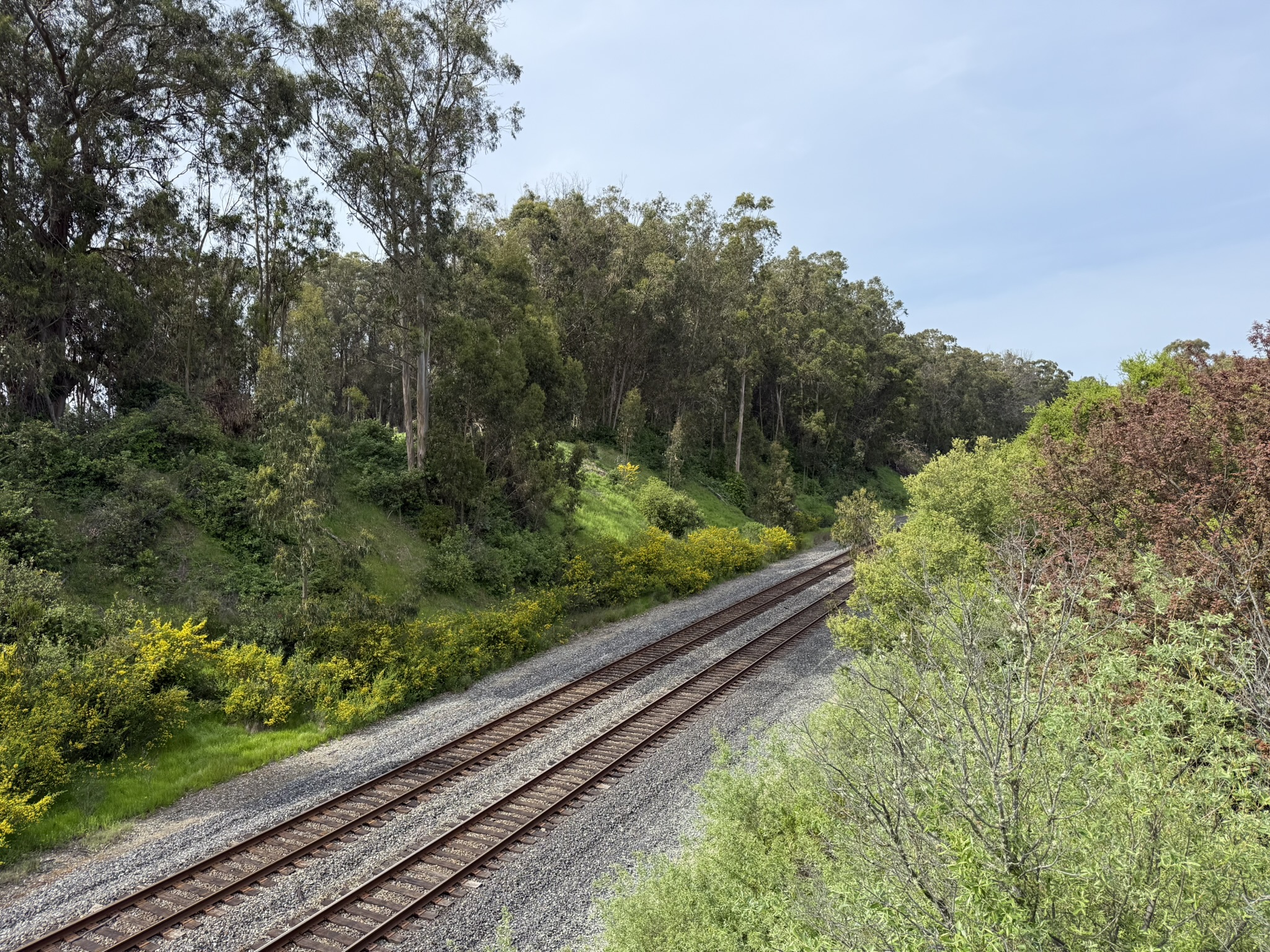 Point Pinole Regional Shoreline