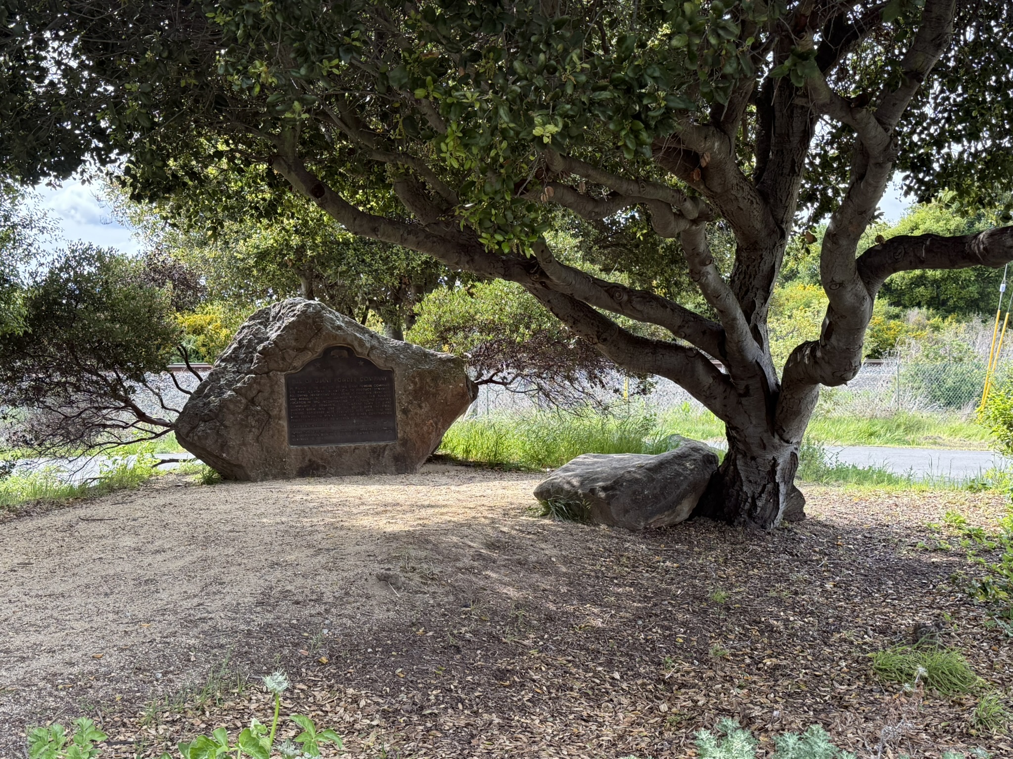 Point Pinole Regional Shoreline