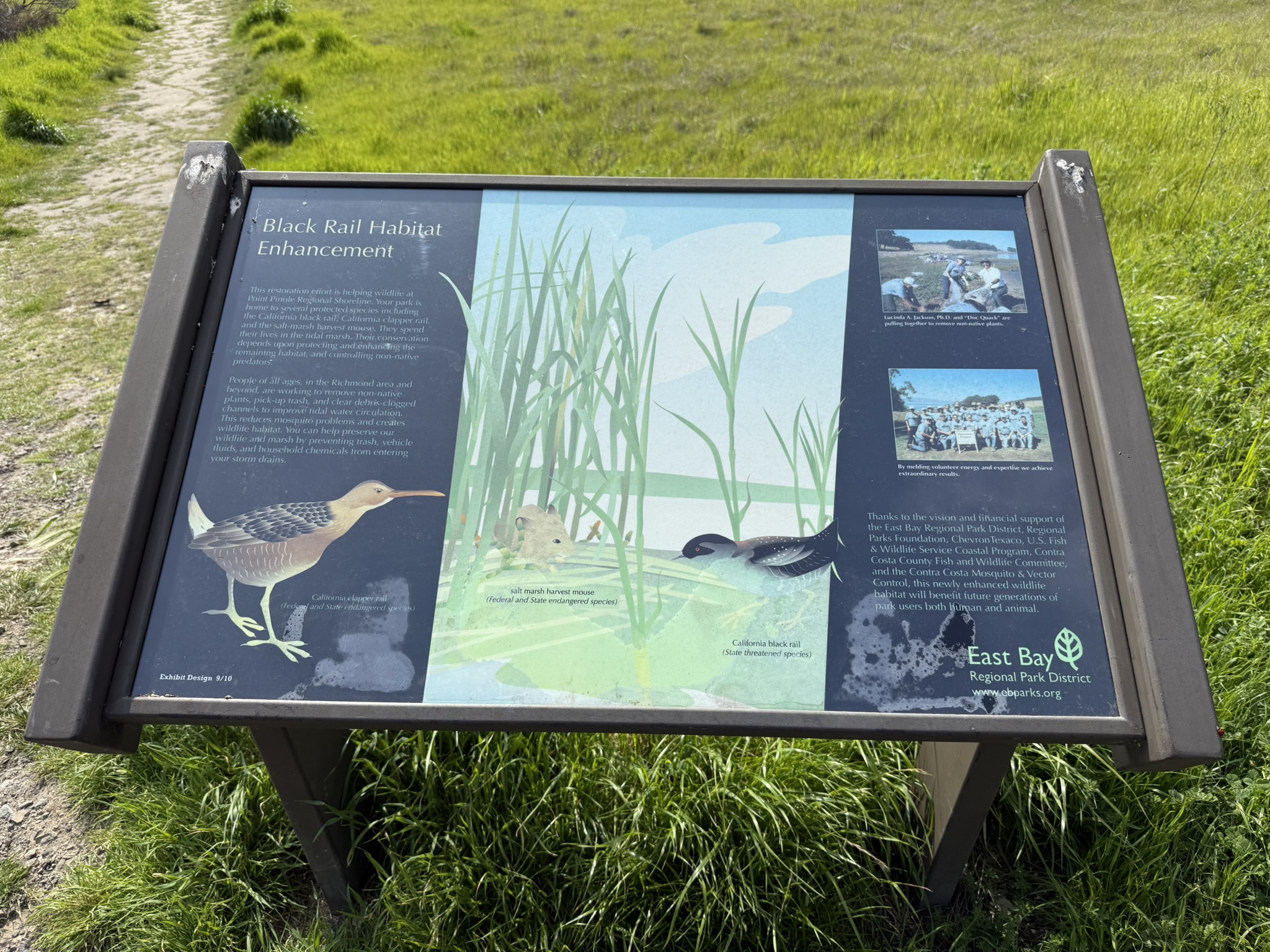 Point Pinole Regional Shoreline