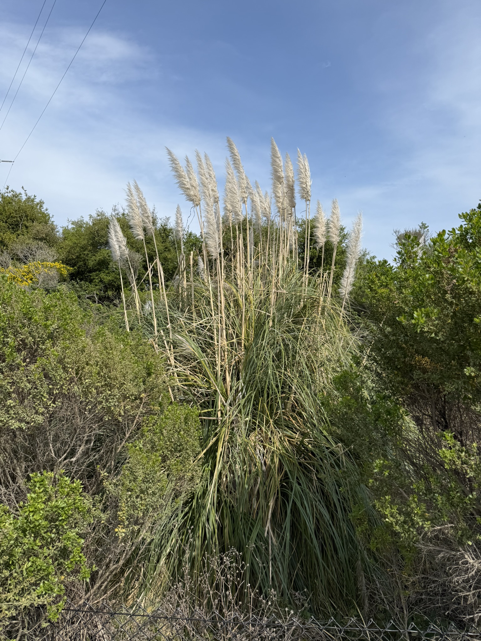 Point Pinole Regional Shoreline