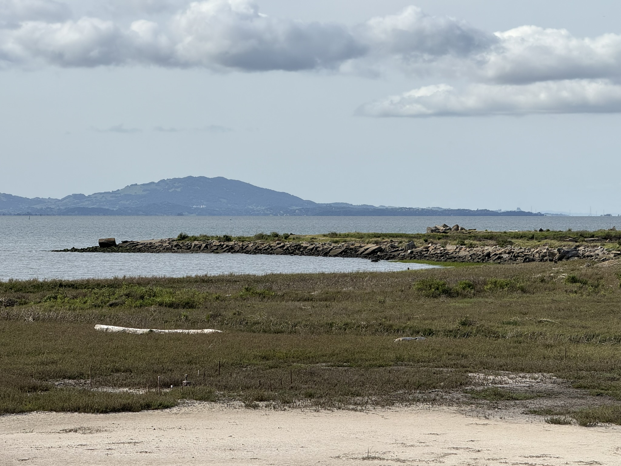 Point Pinole Regional Shoreline