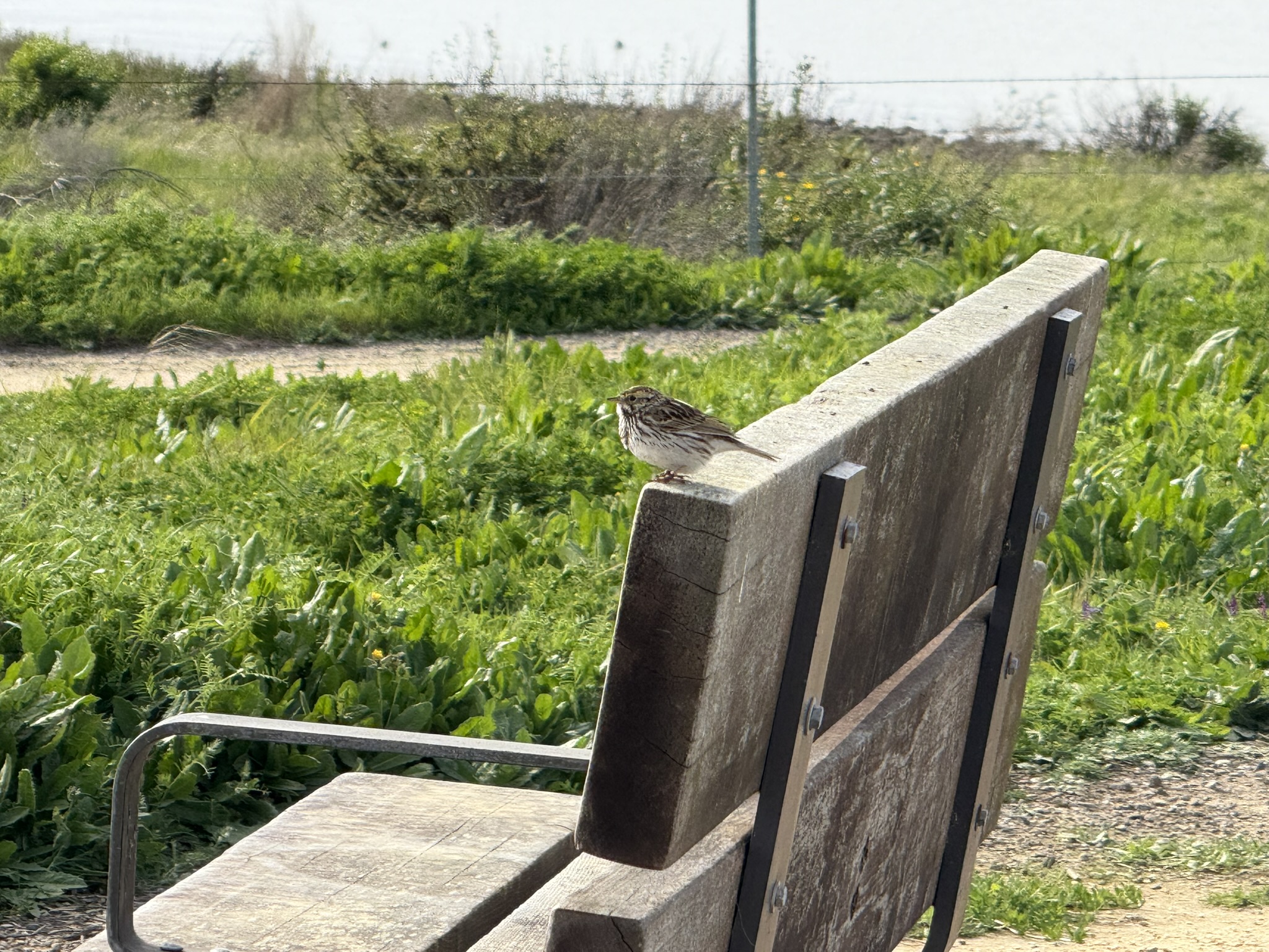 Point Pinole Regional Shoreline