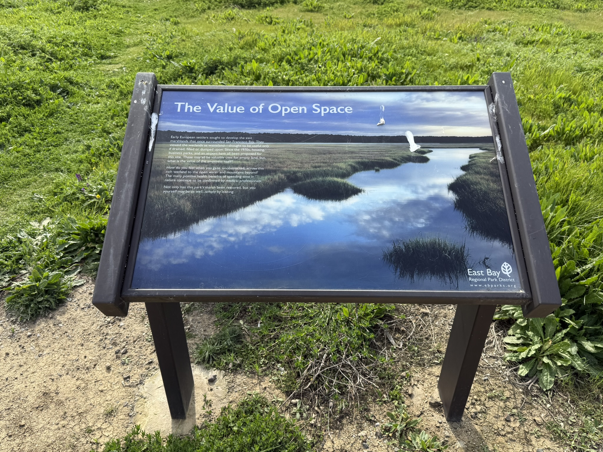 Point Pinole Regional Shoreline