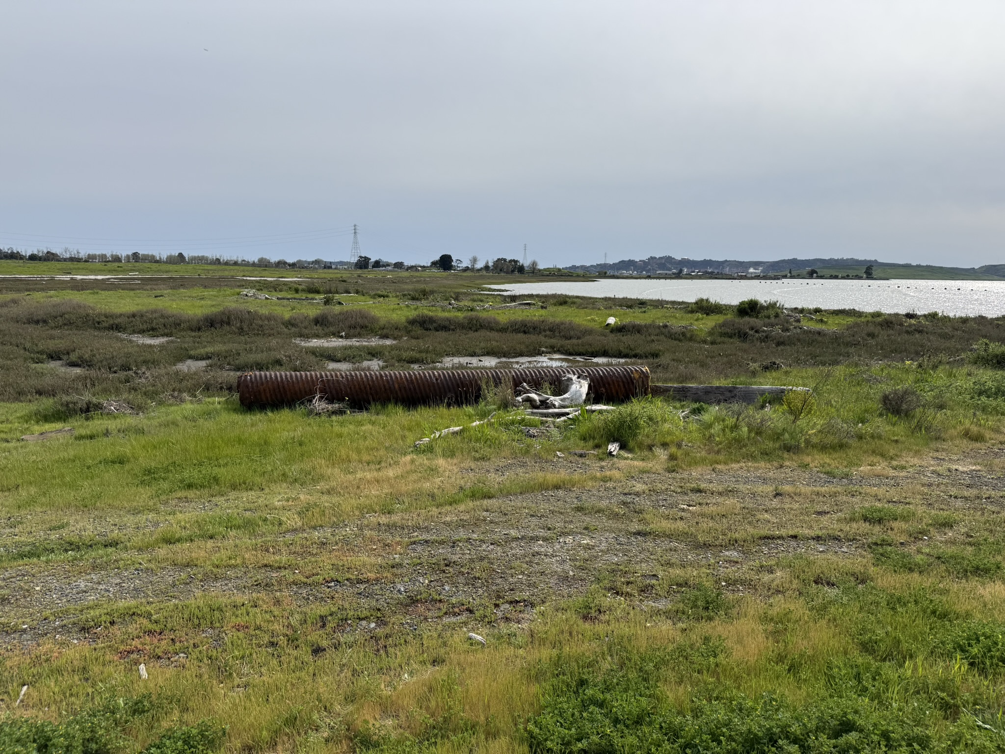 Point Pinole Regional Shoreline