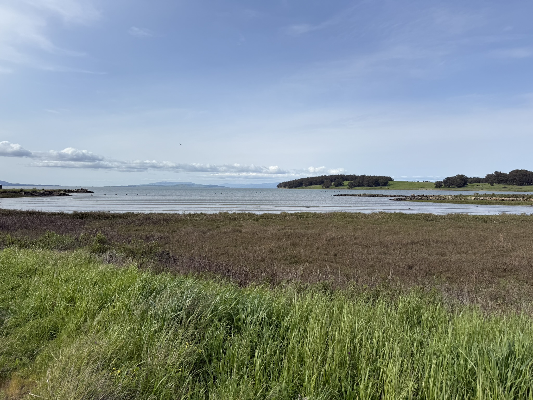 Point Pinole Regional Shoreline