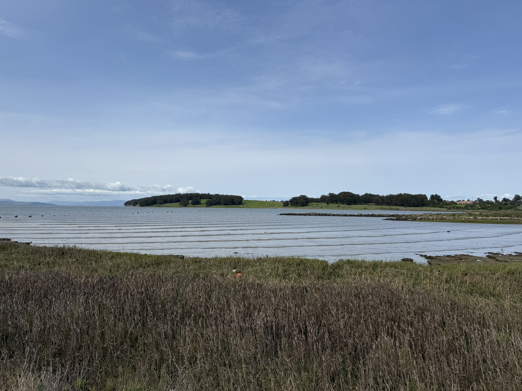 Point Pinole Regional Shoreline