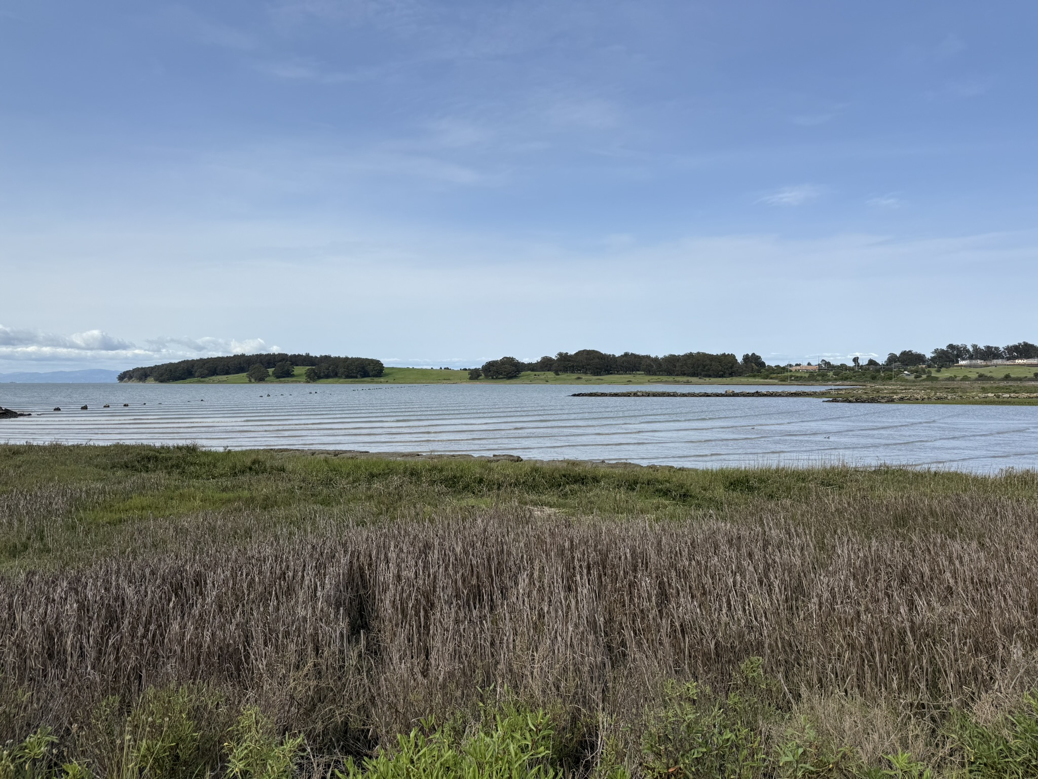 Point Pinole Regional Shoreline