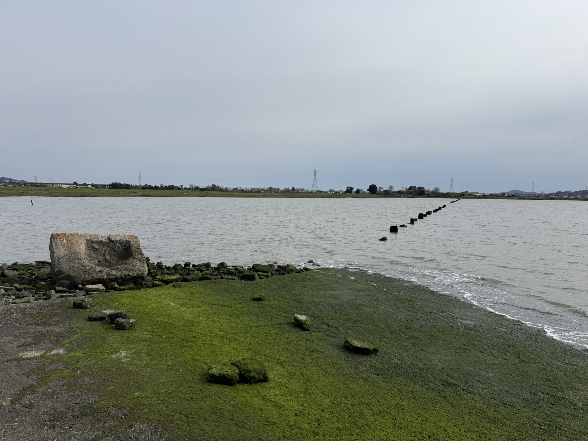Point Pinole Regional Shoreline