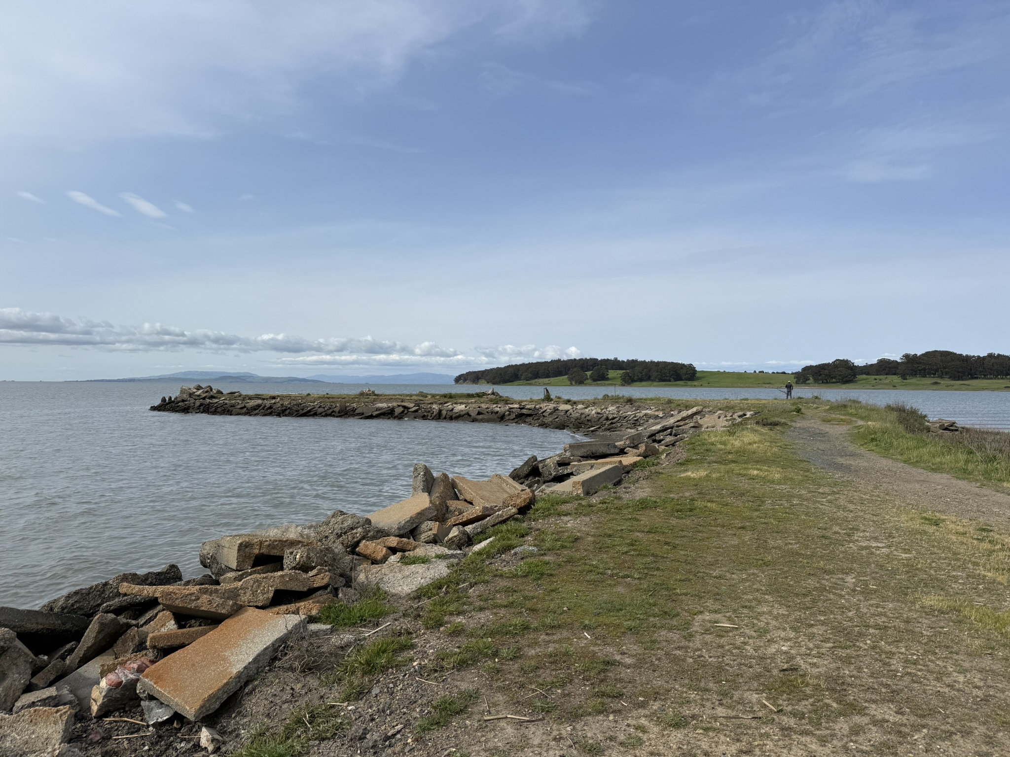 Point Pinole Regional Shoreline