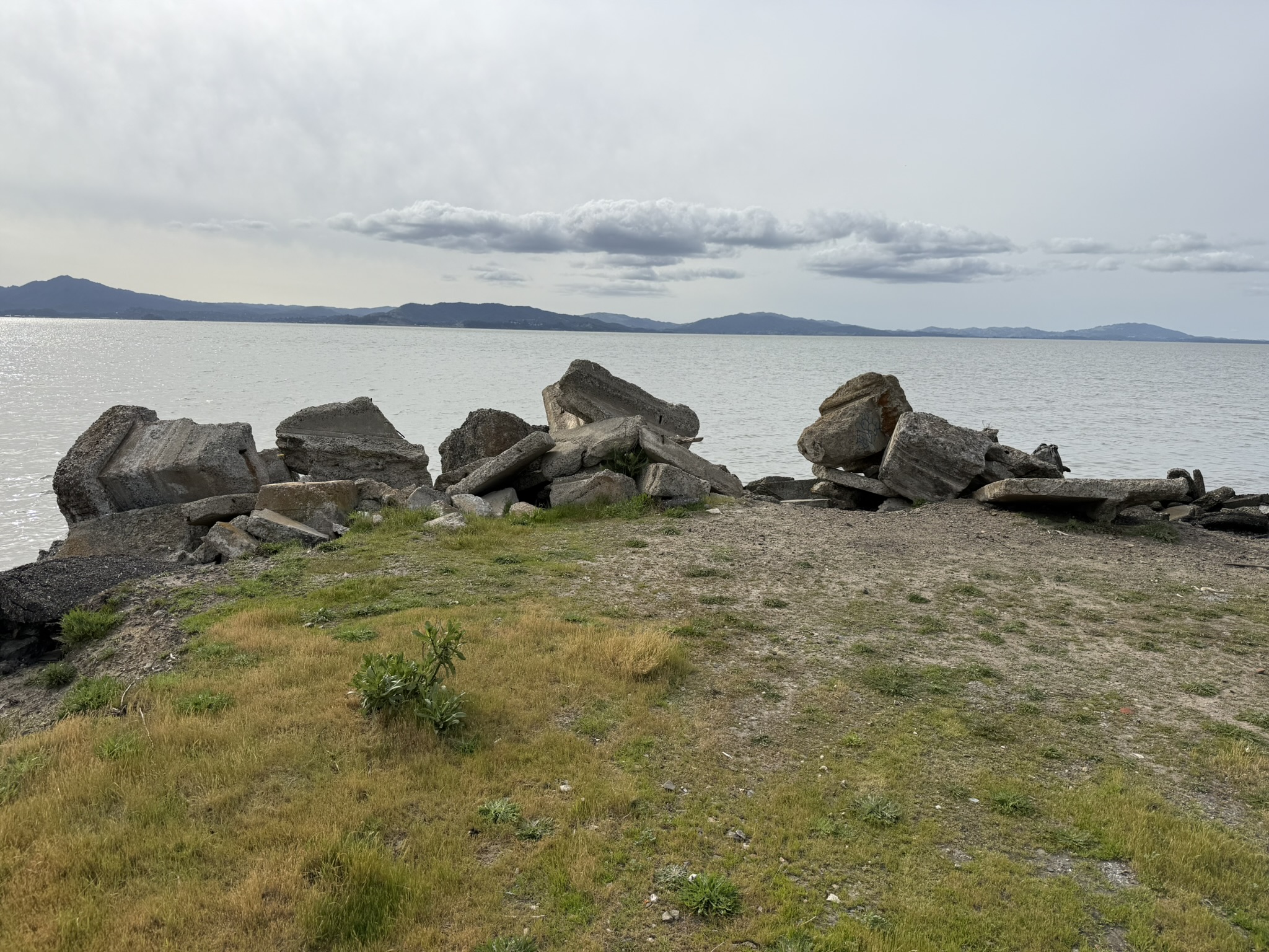 Point Pinole Regional Shoreline