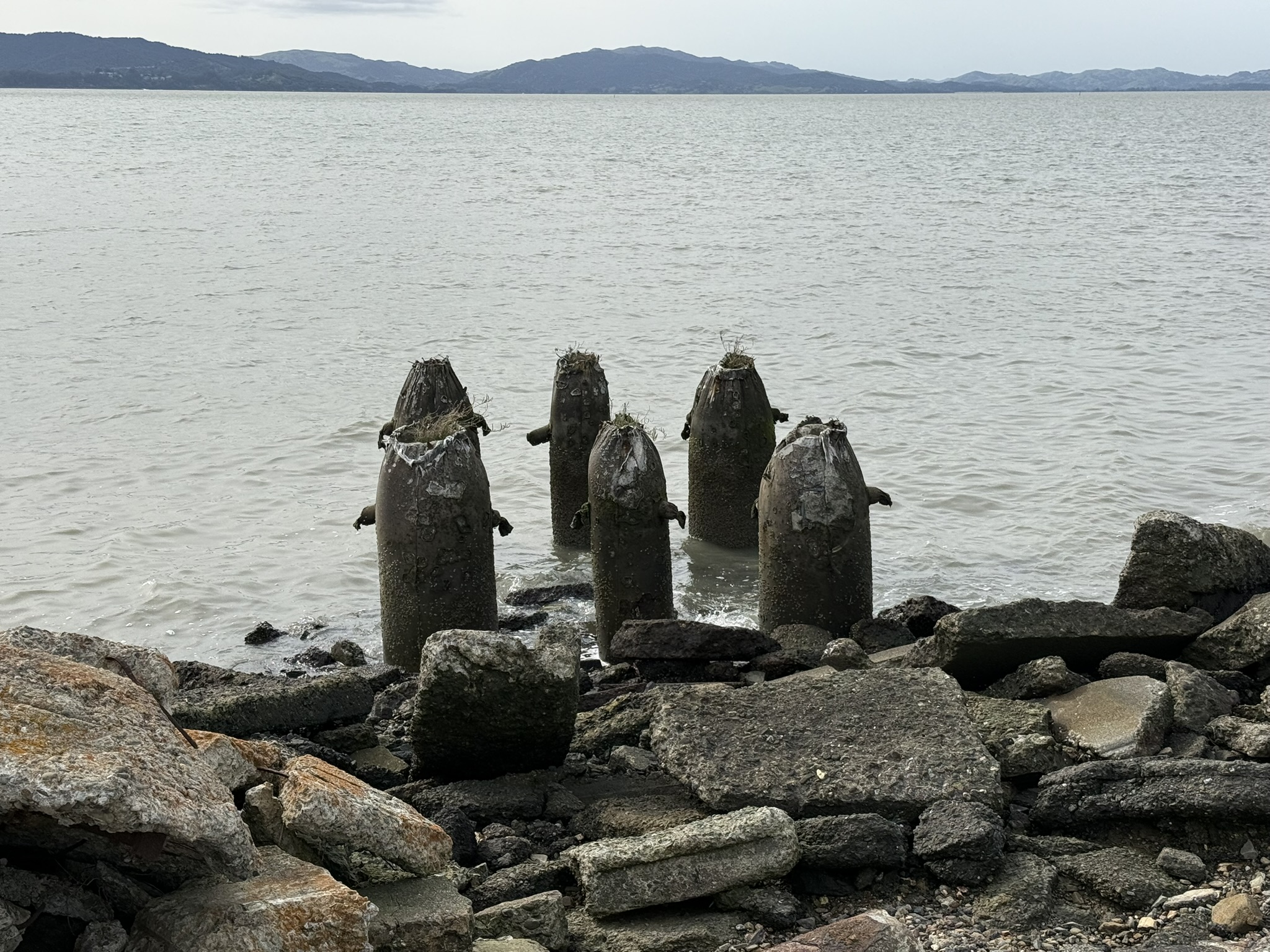 Point Pinole Regional Shoreline