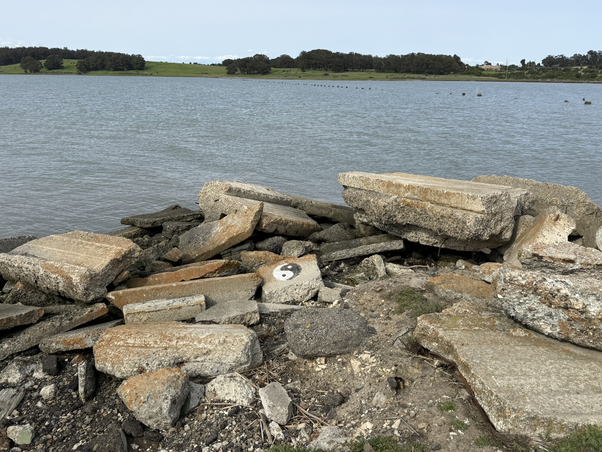 Point Pinole Regional Shoreline
