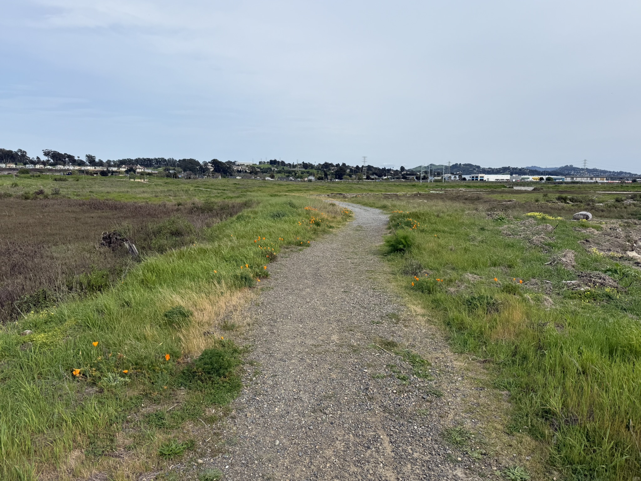 Point Pinole Regional Shoreline