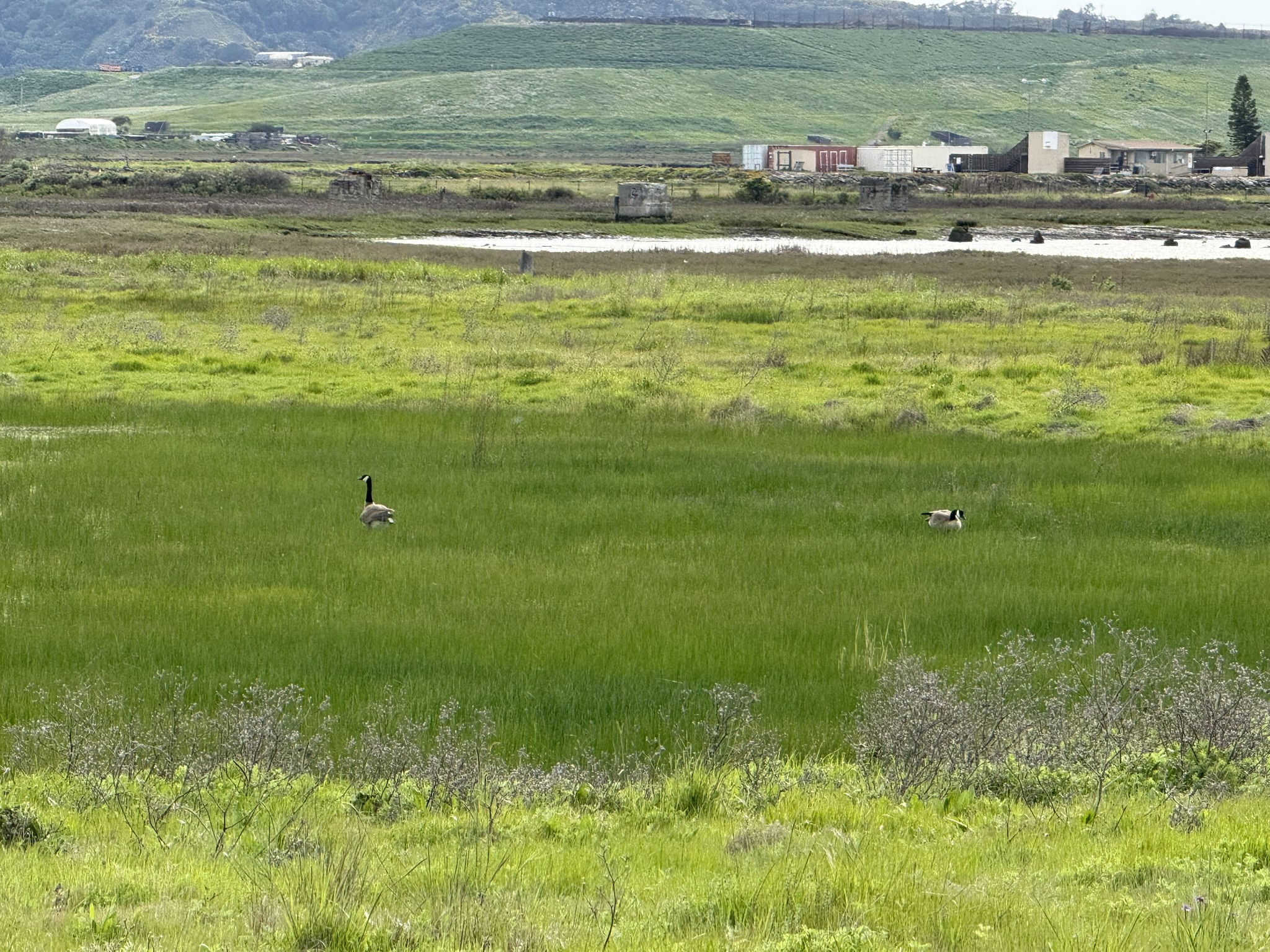 Point Pinole Regional Shoreline