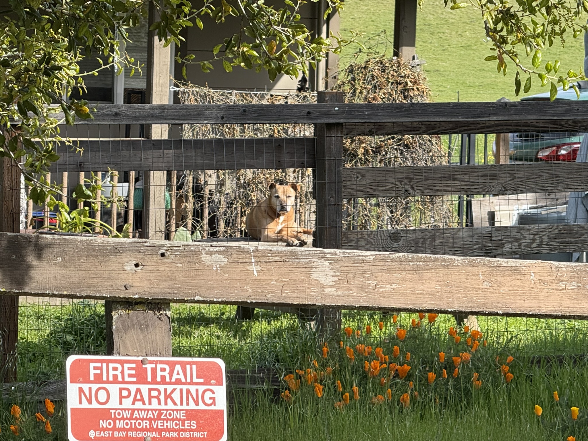Morgan Territory Regional Preserve