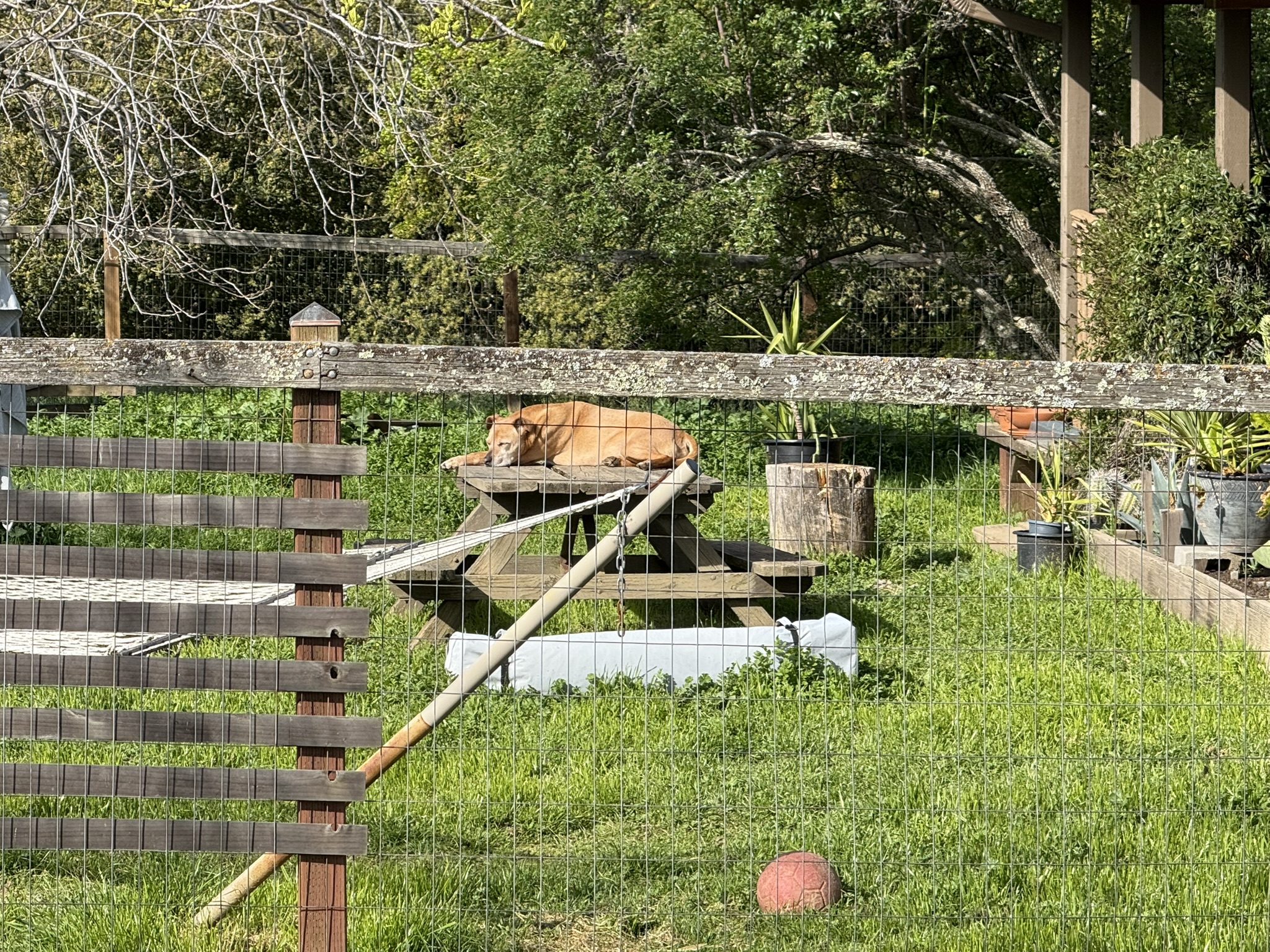 Morgan Territory Regional Preserve