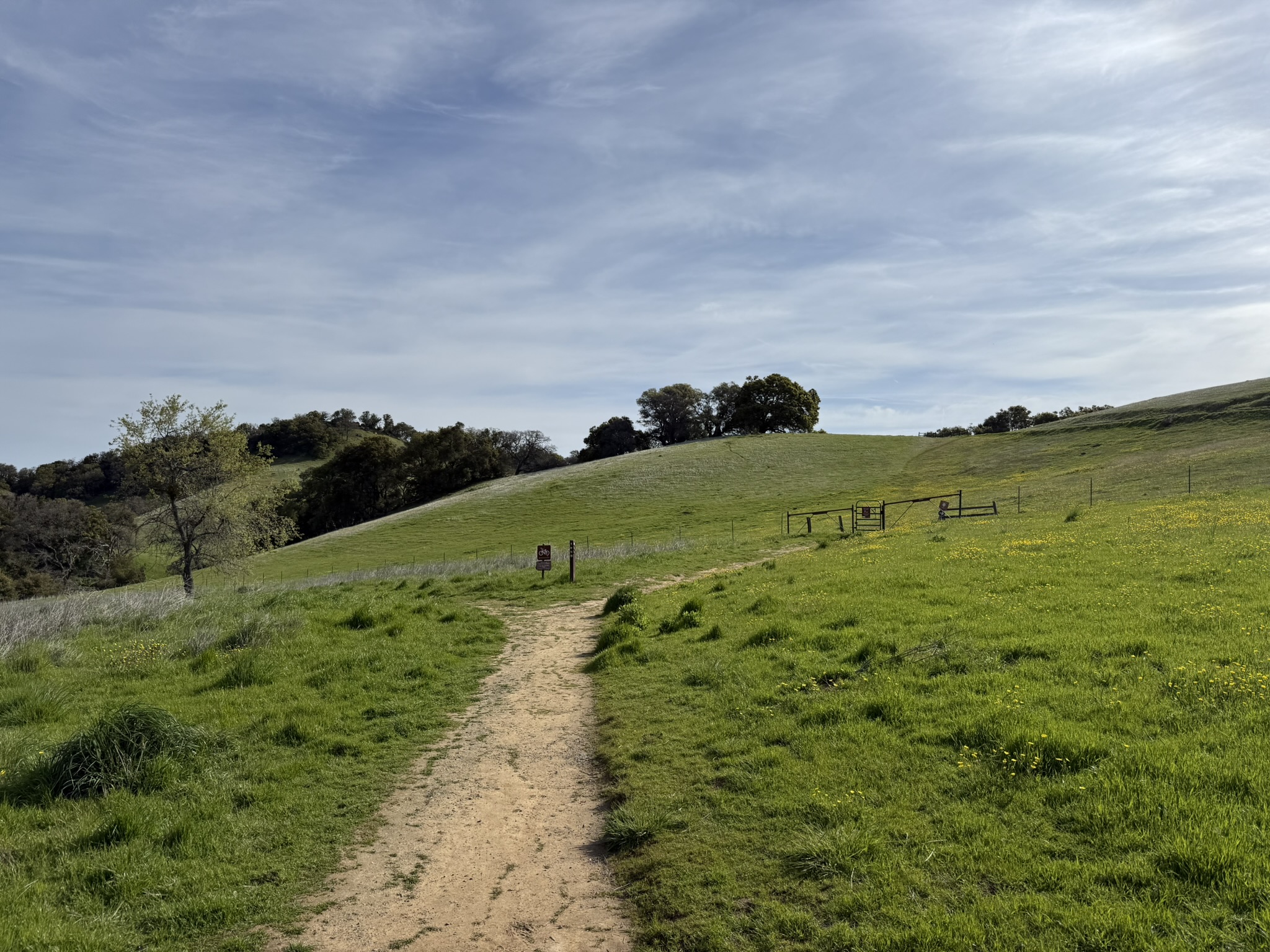 Morgan Territory Regional Preserve