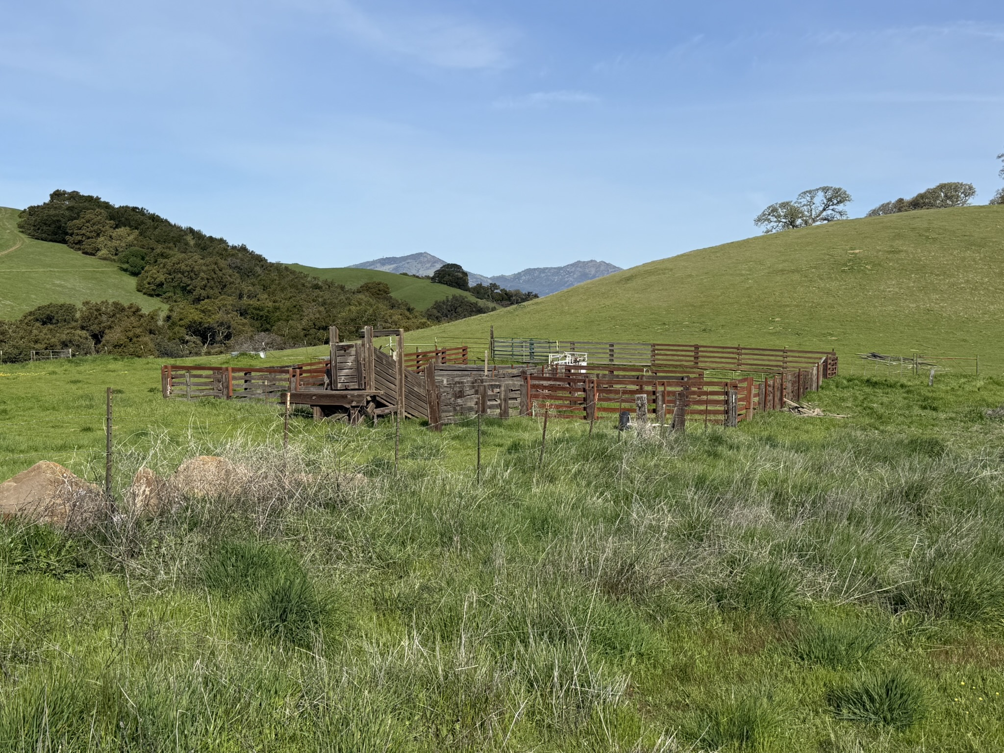 Morgan Territory Regional Preserve