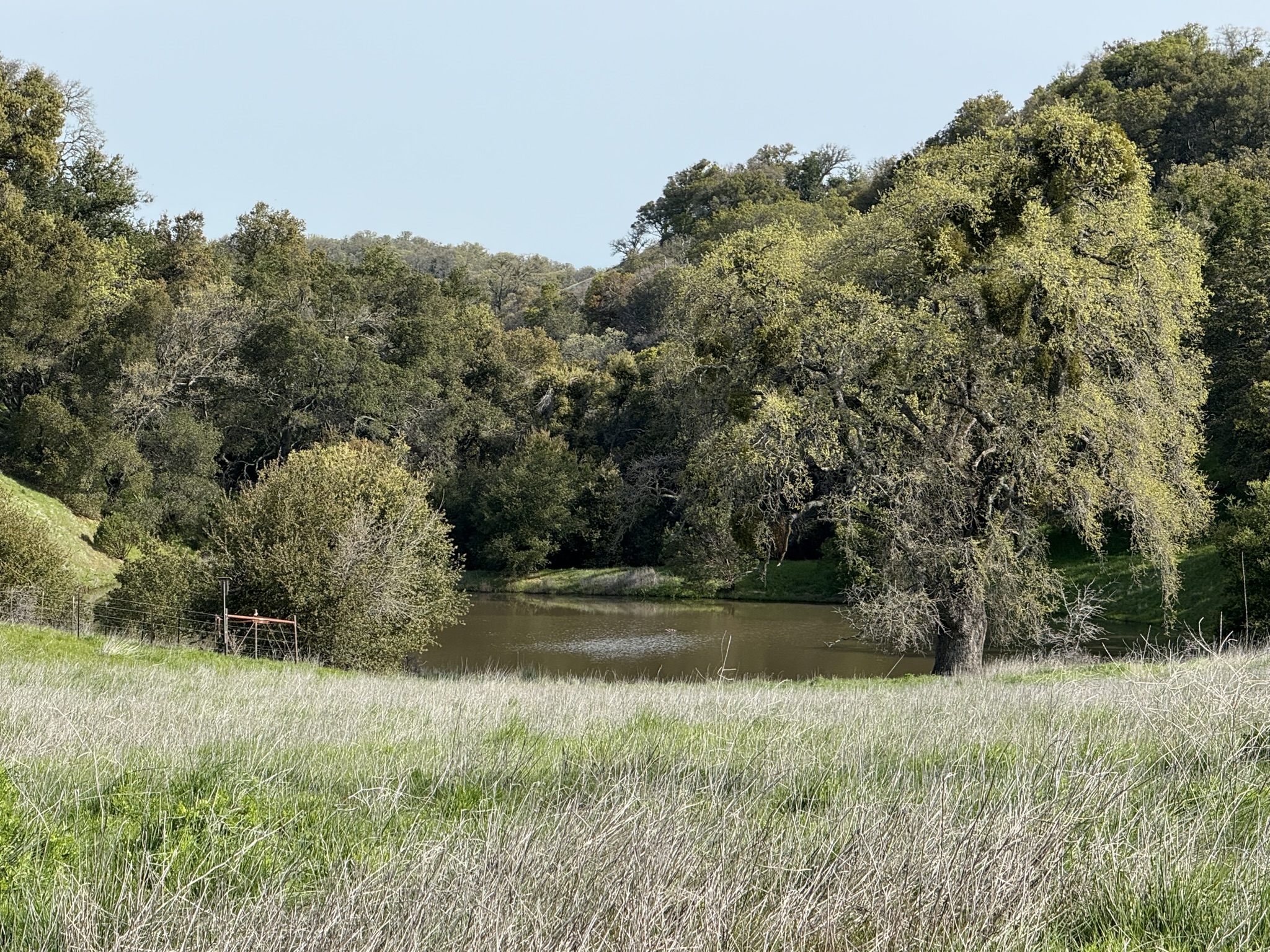 Morgan Territory Regional Preserve