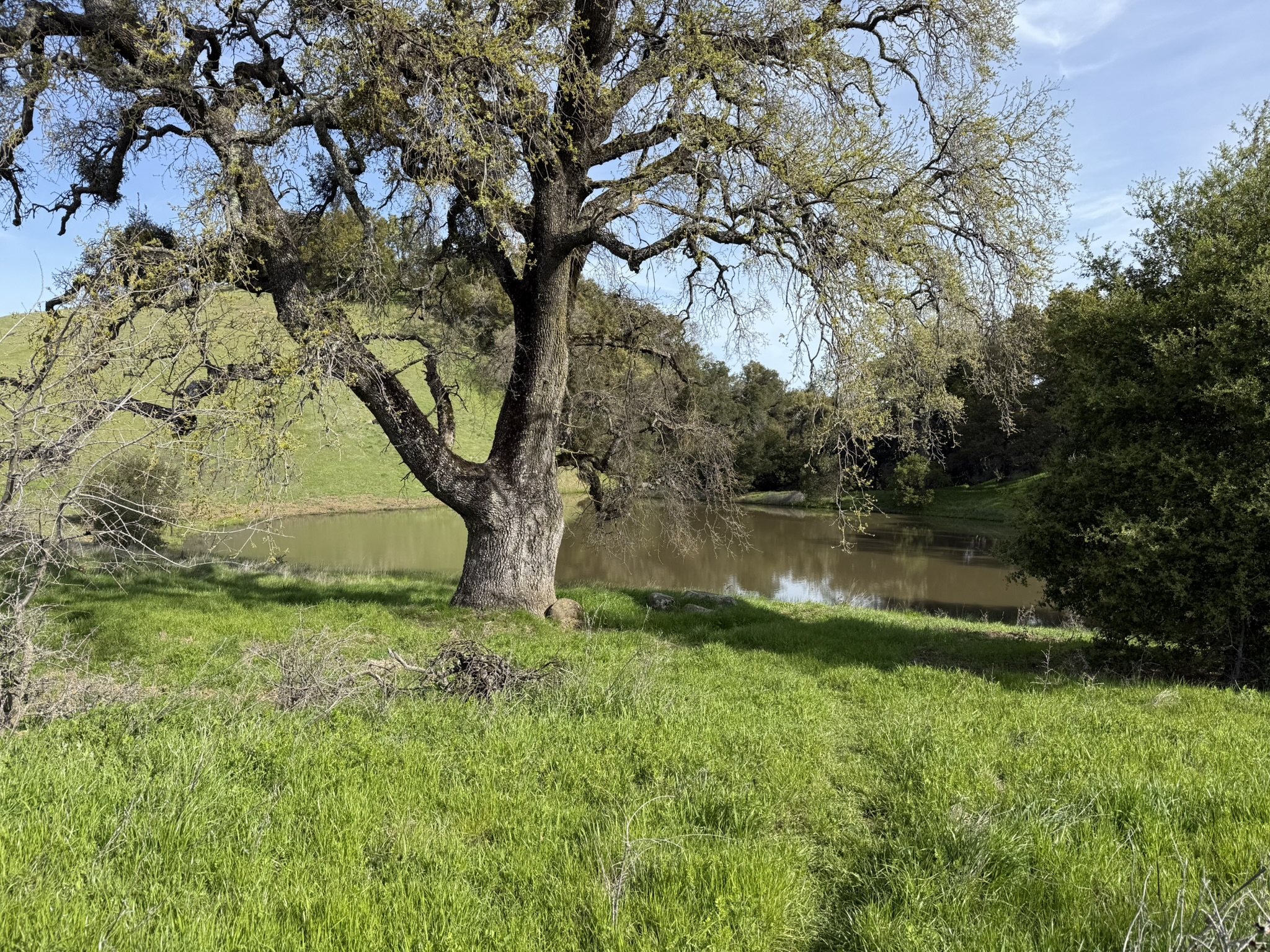 Morgan Territory Regional Preserve