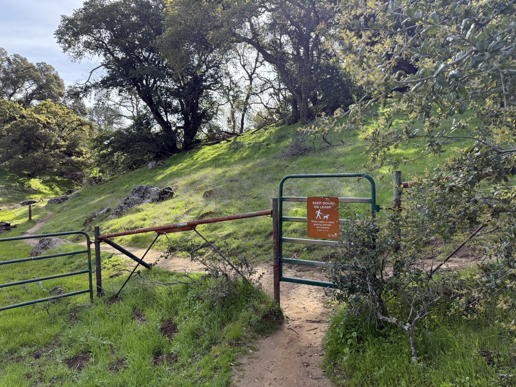 Morgan Territory Regional Preserve