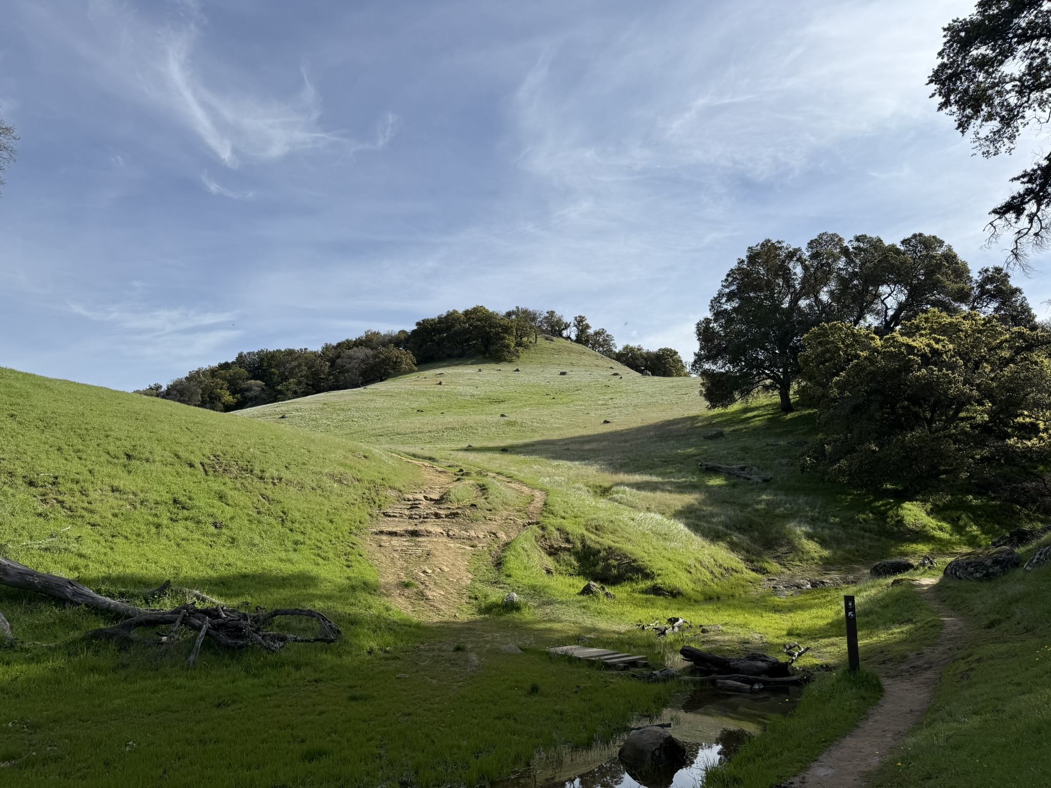 Morgan Territory Regional Preserve
