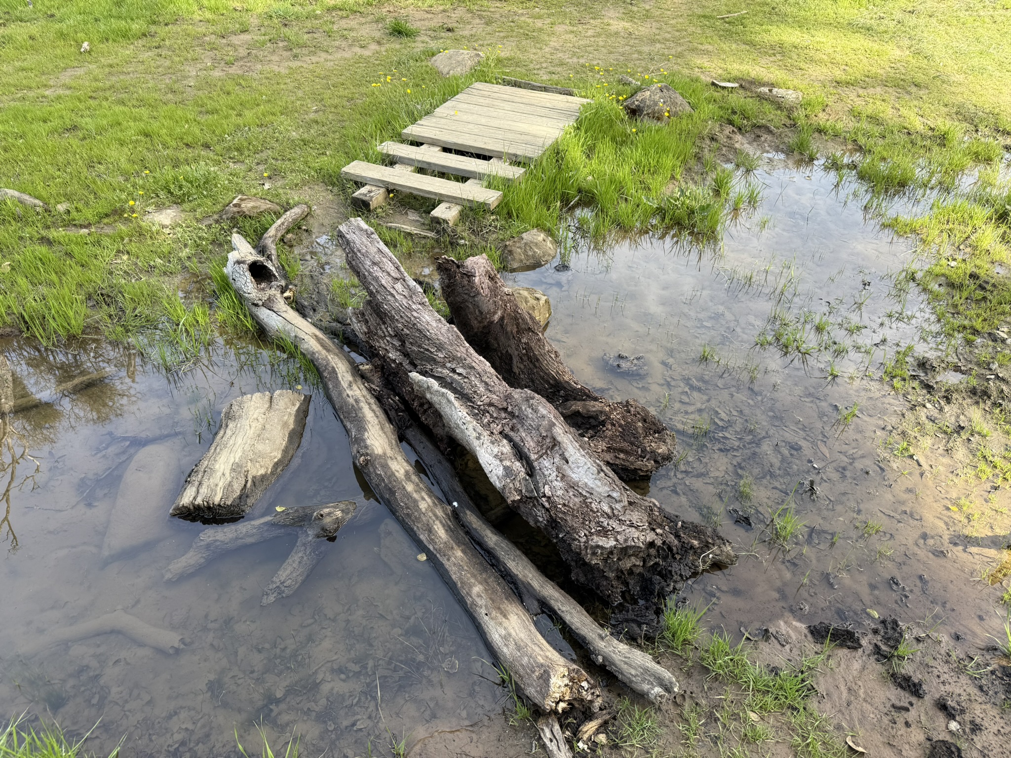 Morgan Territory Regional Preserve