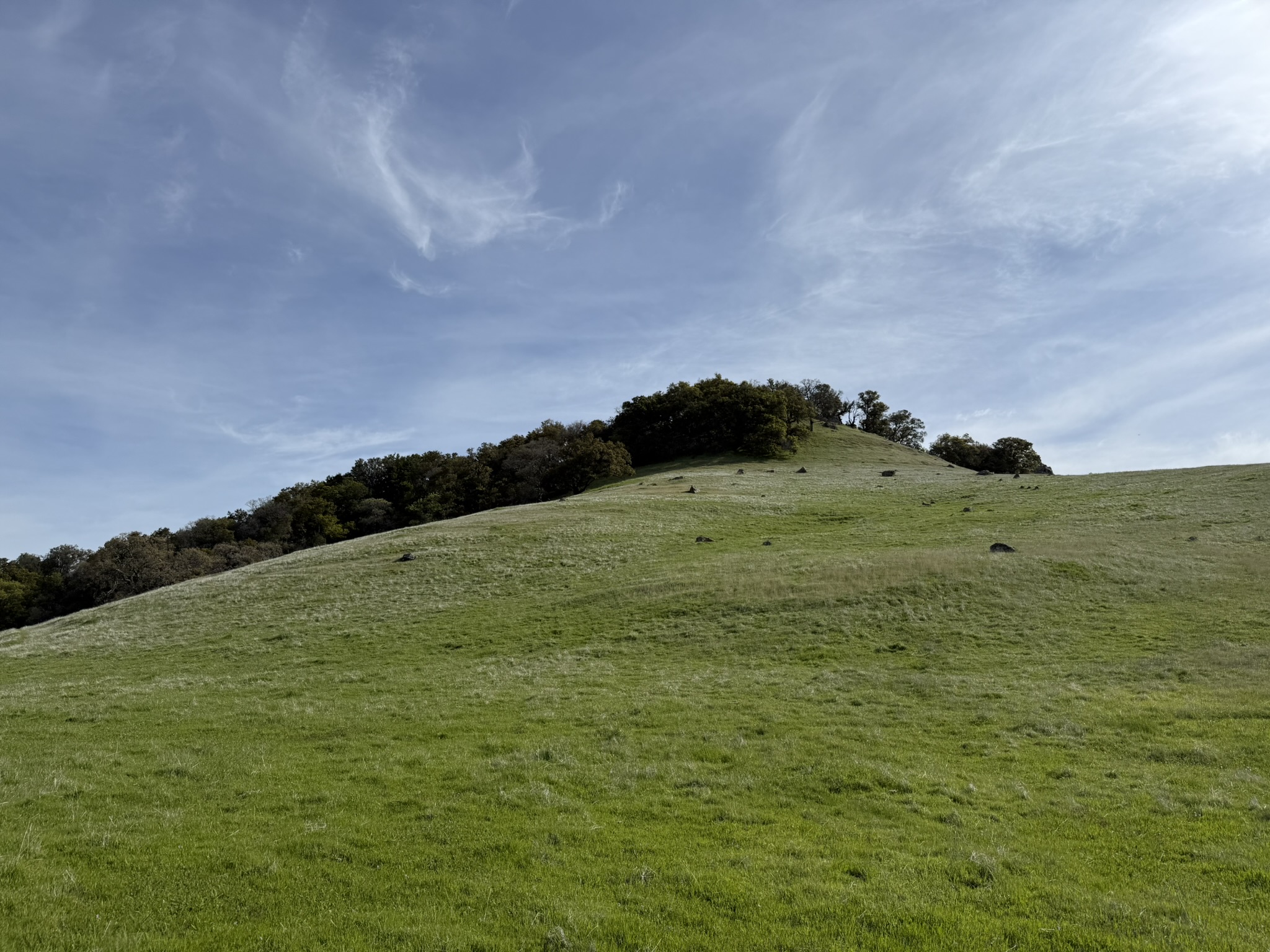 Morgan Territory Regional Preserve