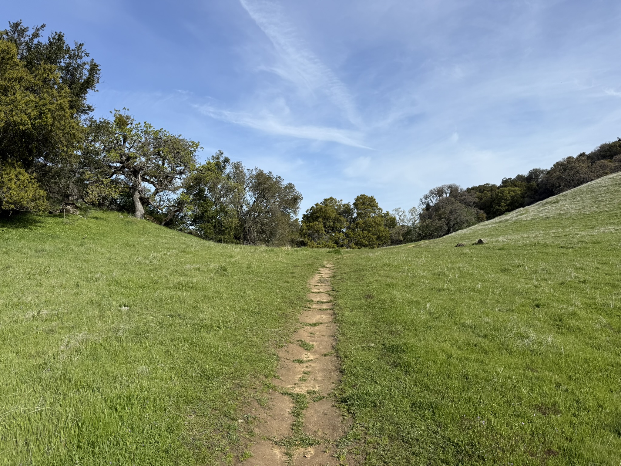 Morgan Territory Regional Preserve