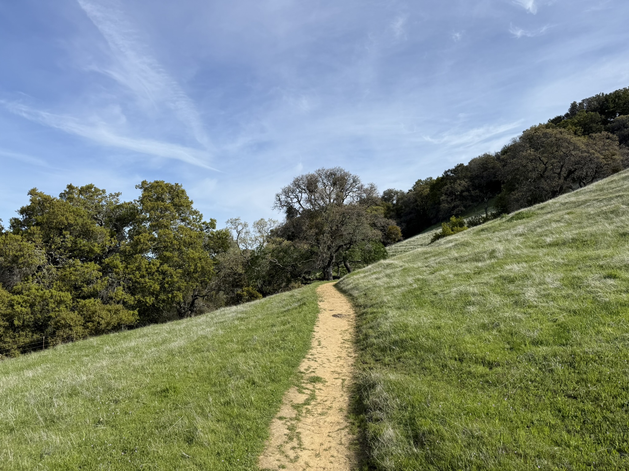 Morgan Territory Regional Preserve