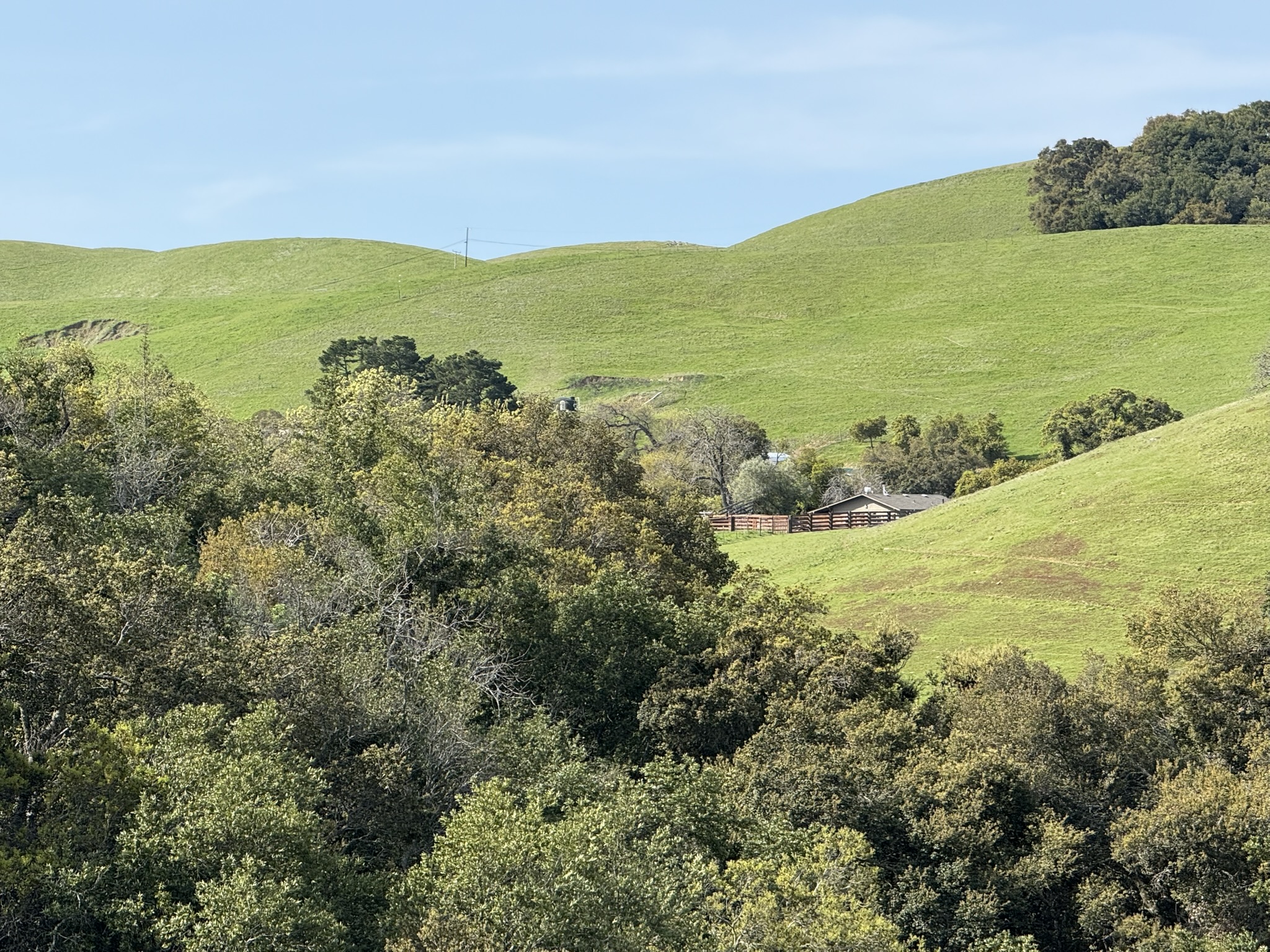 Morgan Territory Regional Preserve